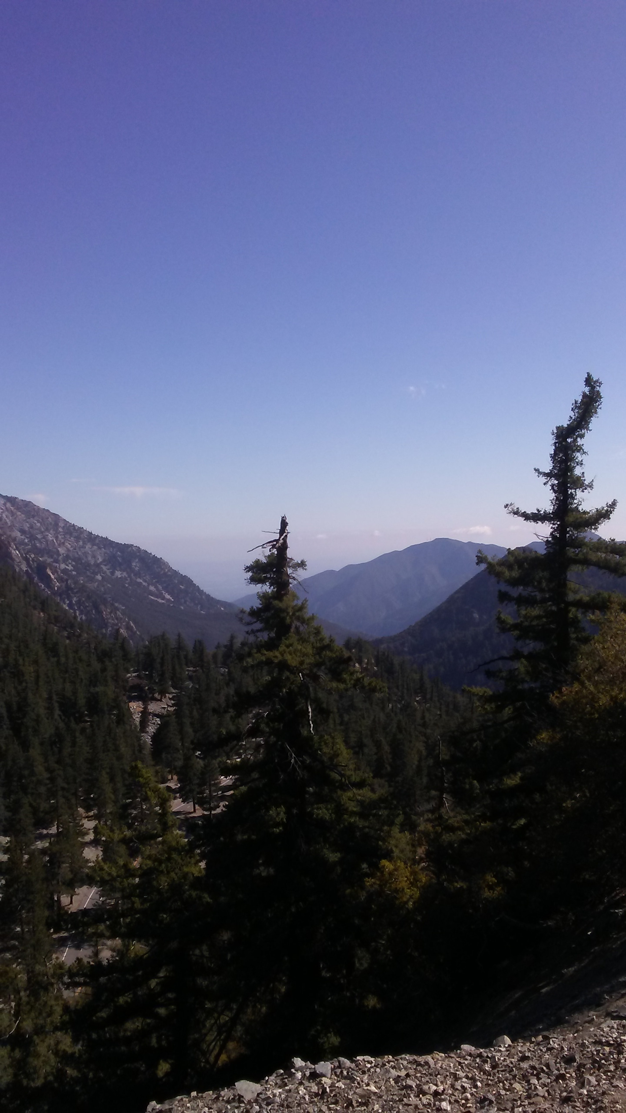 LG M1 sample photo. Baldy photography
