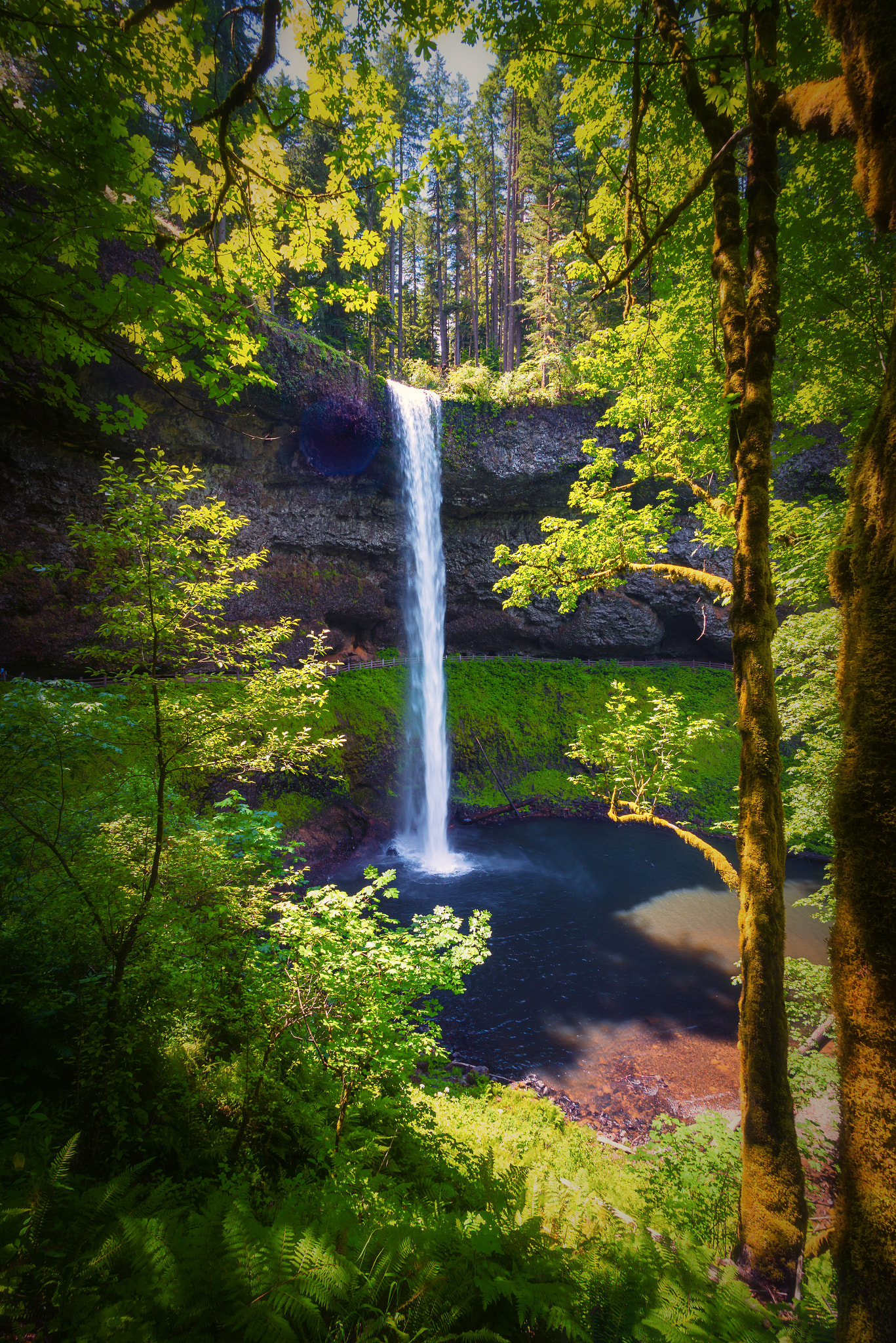 Nikon D800 + Nikon AF Fisheye-Nikkor 16mm F2.8D sample photo. South falls photography