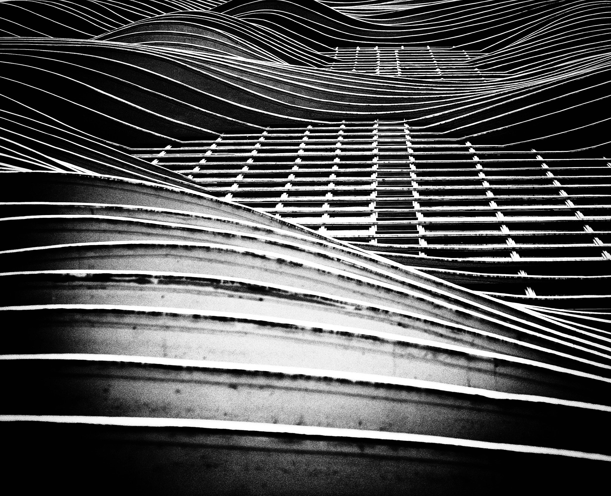 Canon EF 180mm F3.5L Macro USM sample photo. Chi town photography