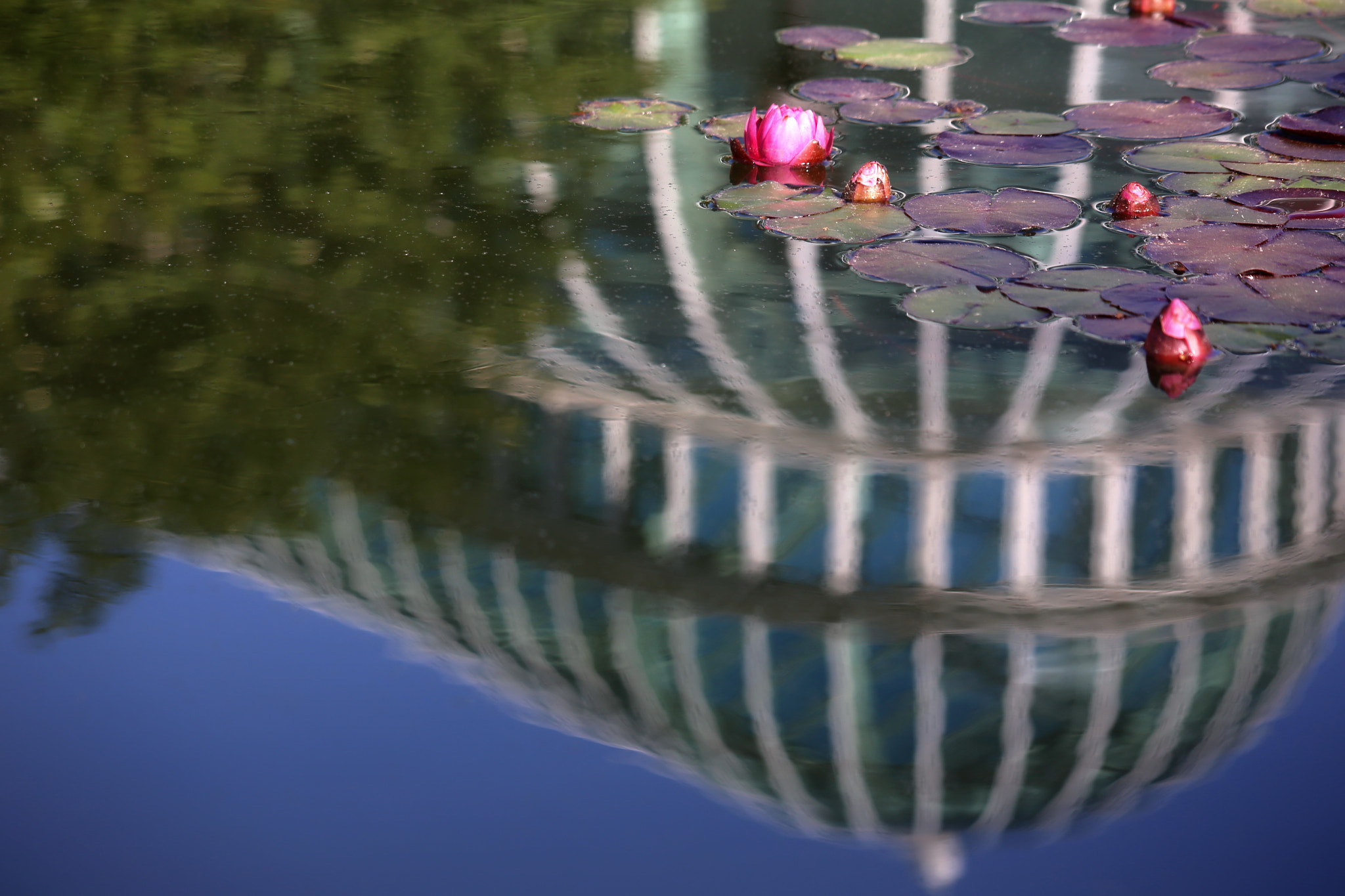 Canon EF 100-300mm F4.5-5.6 USM sample photo. Reflection photography