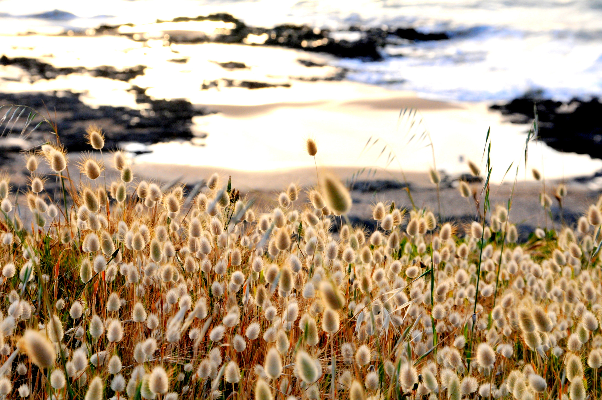 Sigma 18-200mm F3.5-6.3 DC OS HSM sample photo. Sea side photography