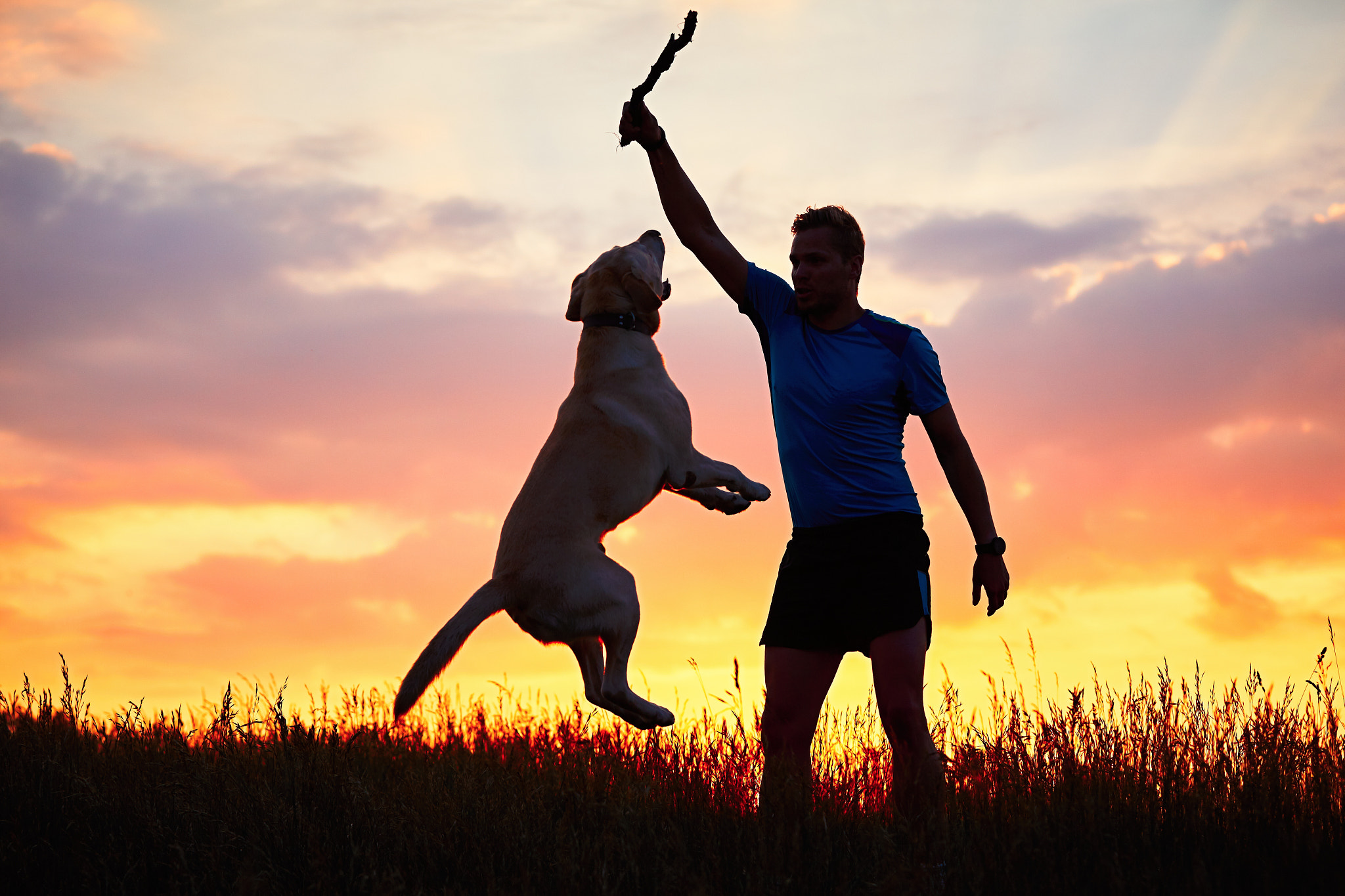 Man is playing with dog