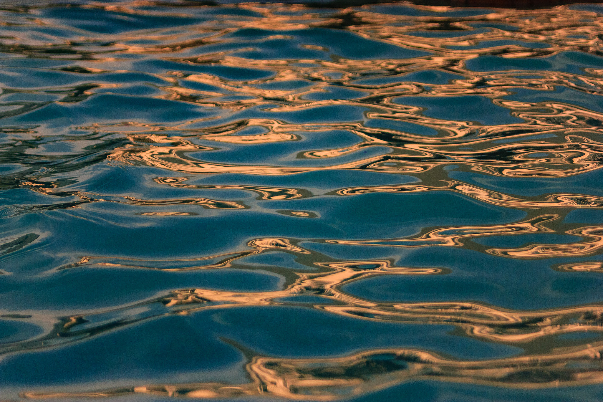 Canon EF 35-80mm f/4-5.6 sample photo. Sunlight photography