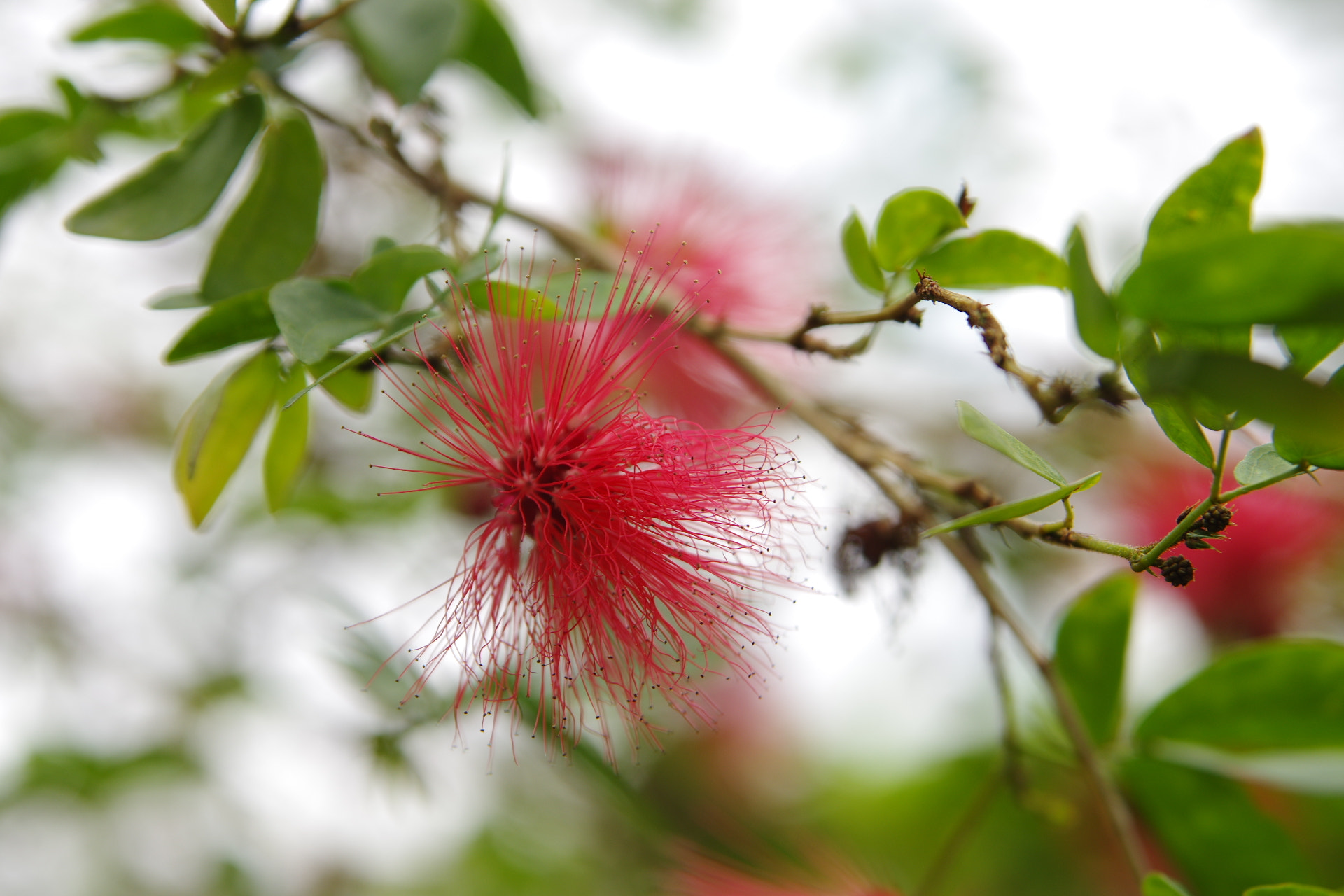 Tamron AF 28-75mm F2.8 XR Di LD Aspherical (IF) sample photo. What's your name? photography