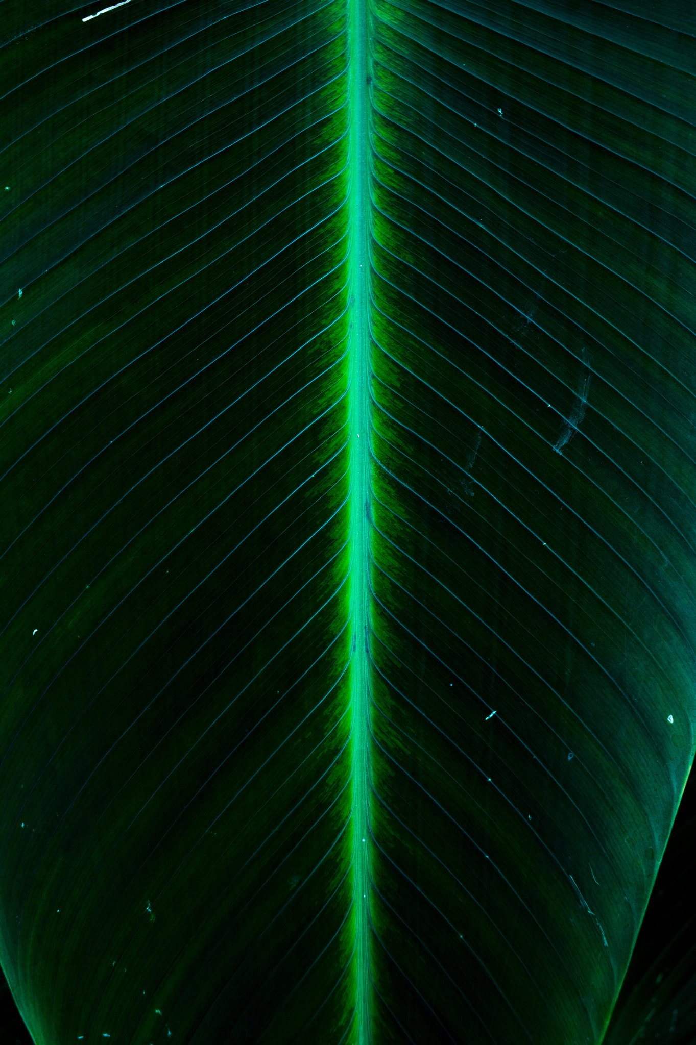 Nikon Df + Nikon AF Nikkor 35mm F2D sample photo. Dsc_5017.jpg photography