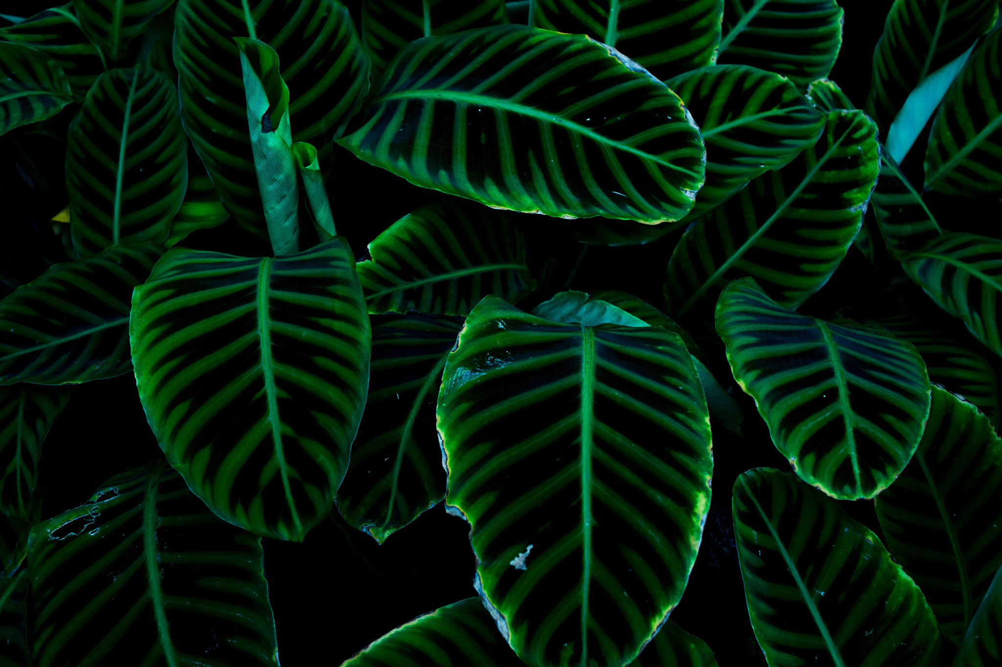 Nikon Df + Nikon AF Nikkor 35mm F2D sample photo. Dsc_5023.jpg photography