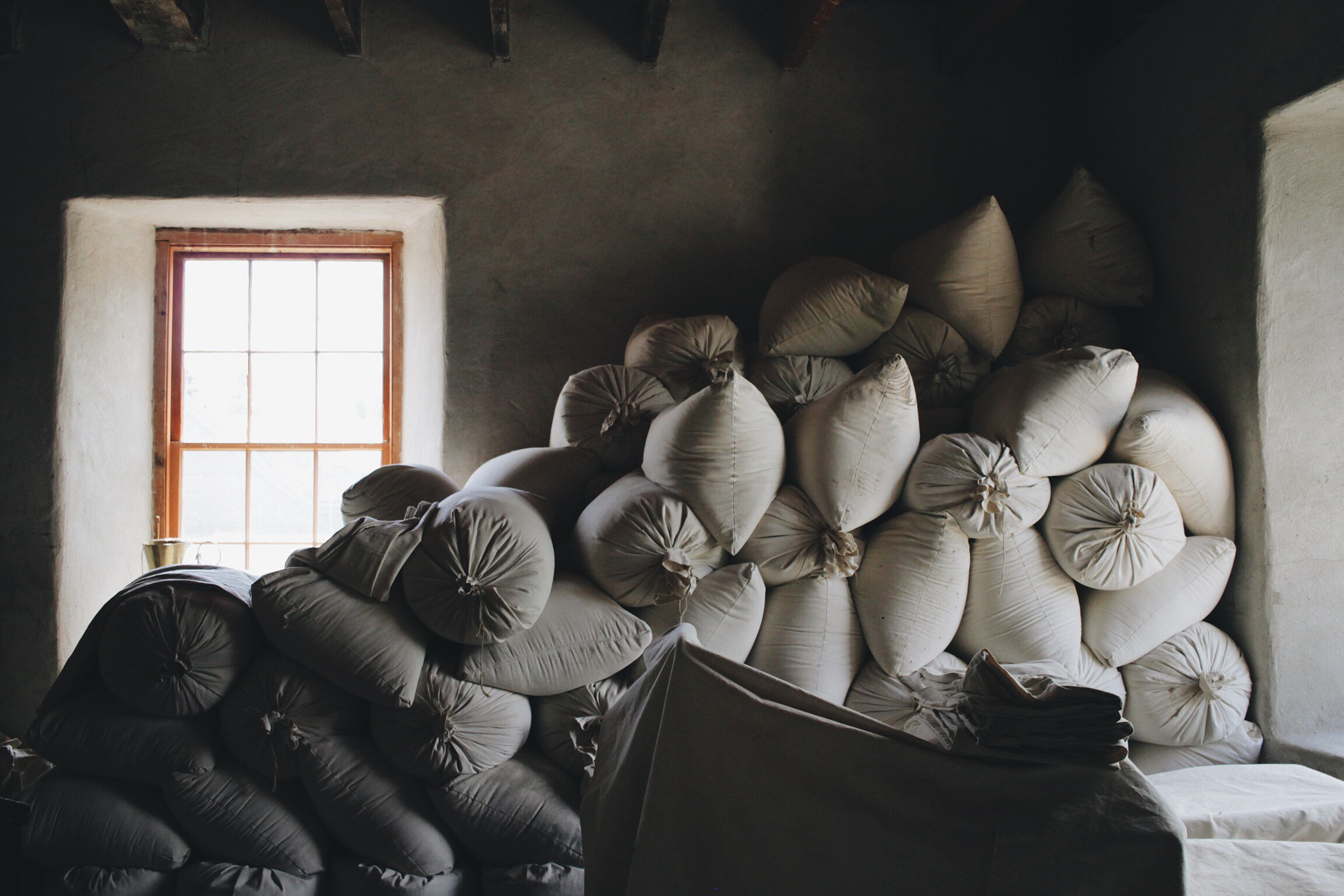 Canon EF-S 24mm F2.8 STM sample photo. Flour photography