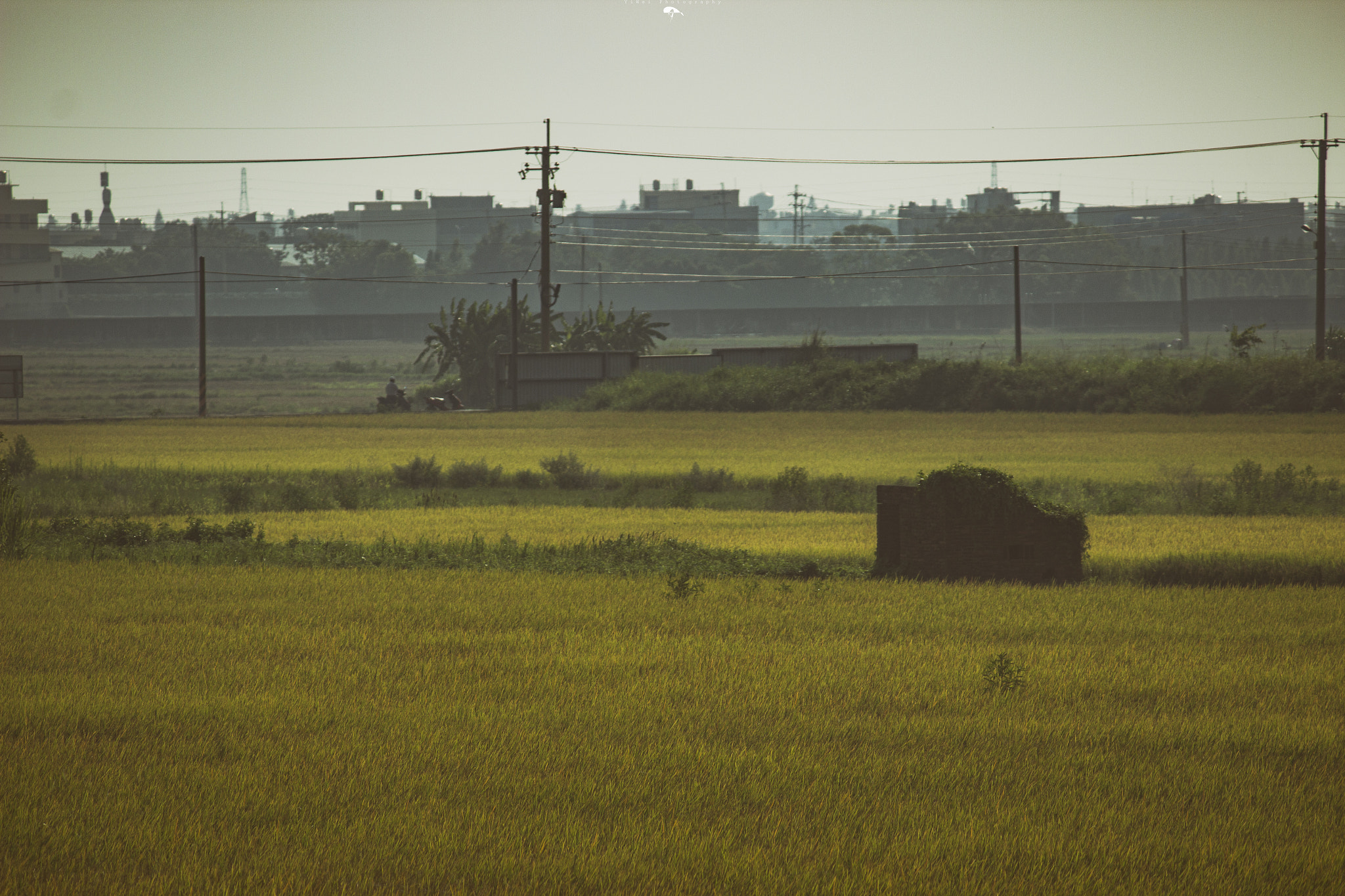 Canon EOS 600D (Rebel EOS T3i / EOS Kiss X5) sample photo. Harvest photography
