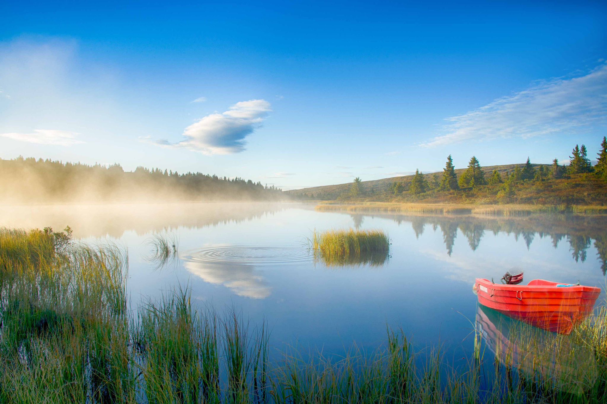 Nikon D3S sample photo. Morning haze photography