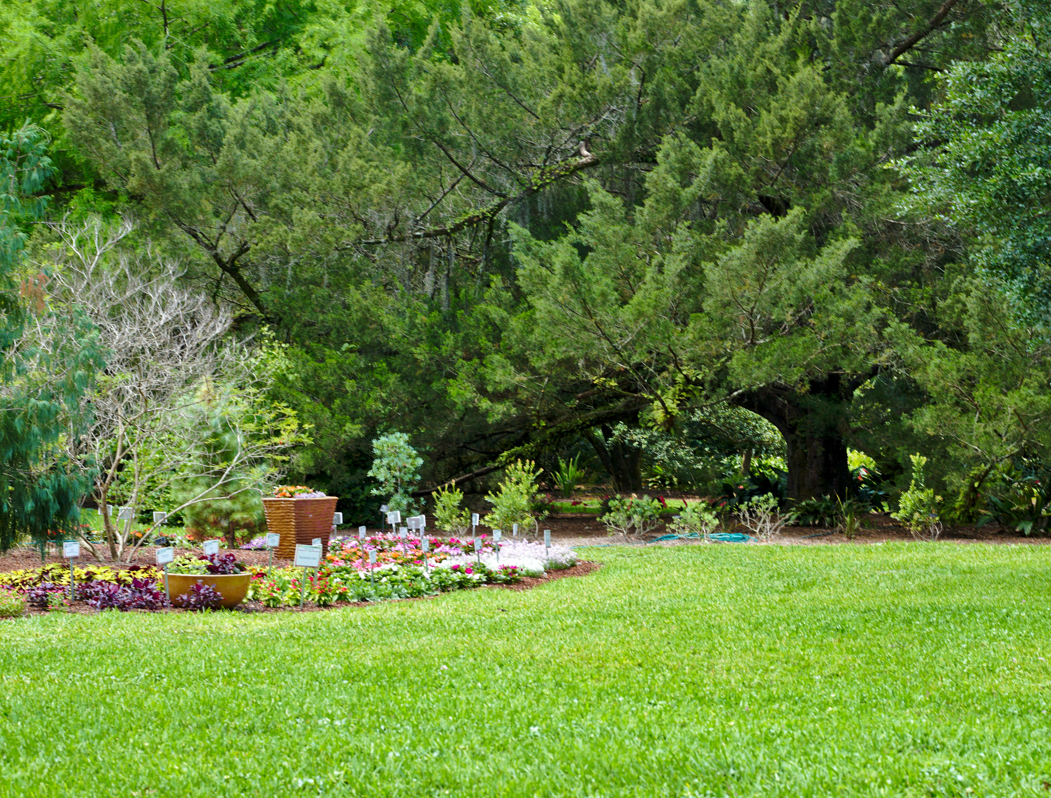 Nikon D810 + ZEISS Otus 85mm F1.4 sample photo. The trials garden i photography