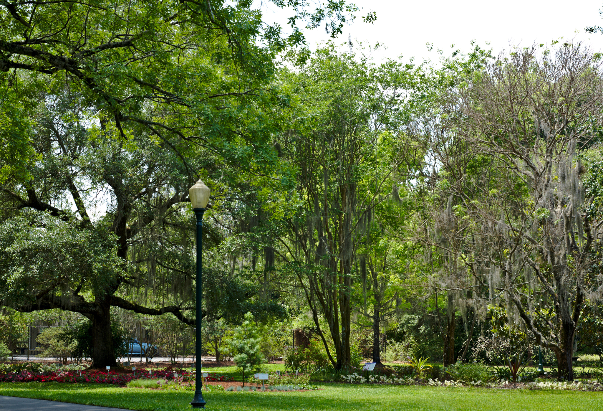 ZEISS Otus 85mm F1.4 sample photo. The trials garden ii photography