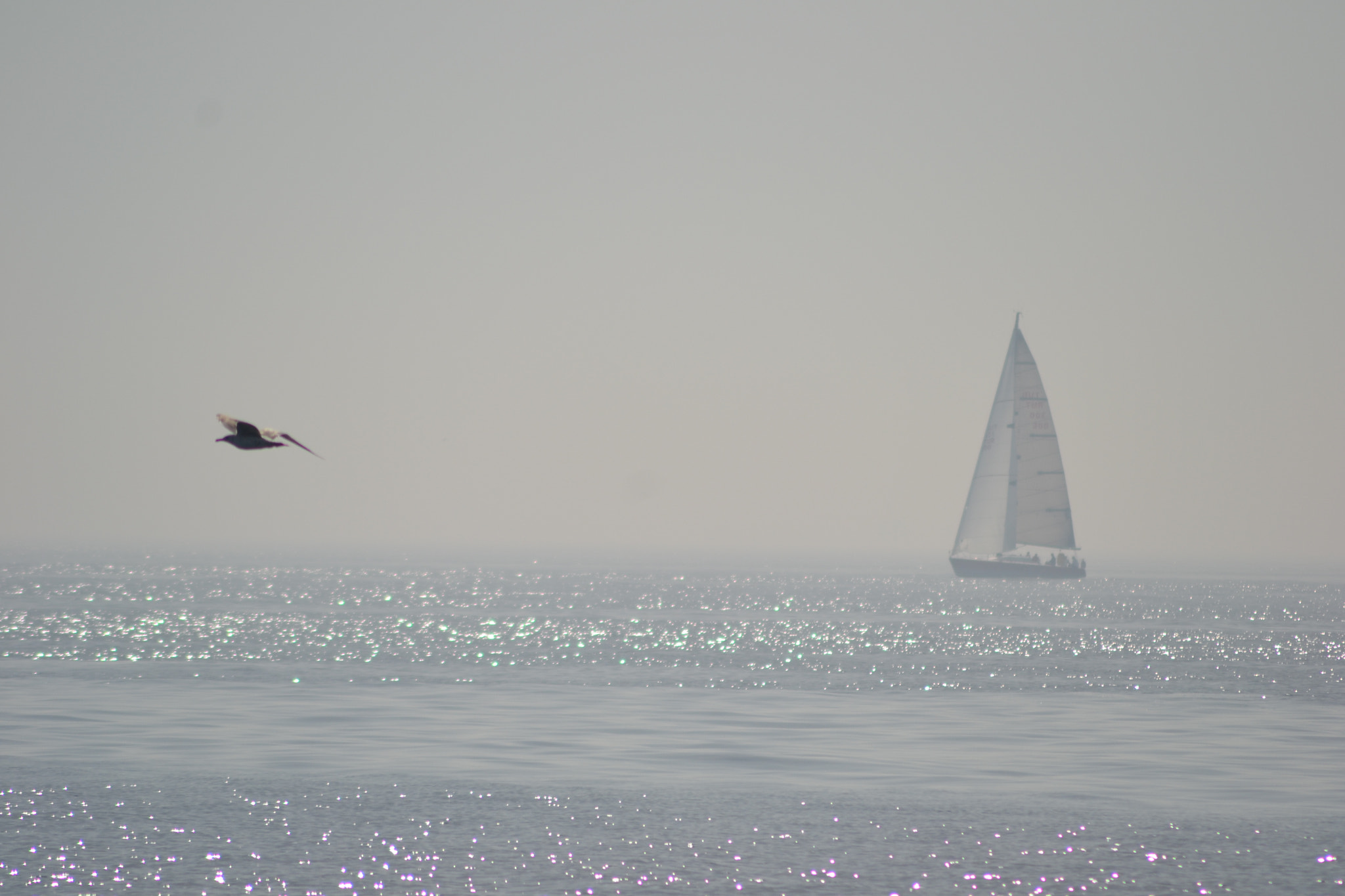 Nikon AF Nikkor 70-300mm F4-5.6G sample photo. Marmara sea...  turkey photography