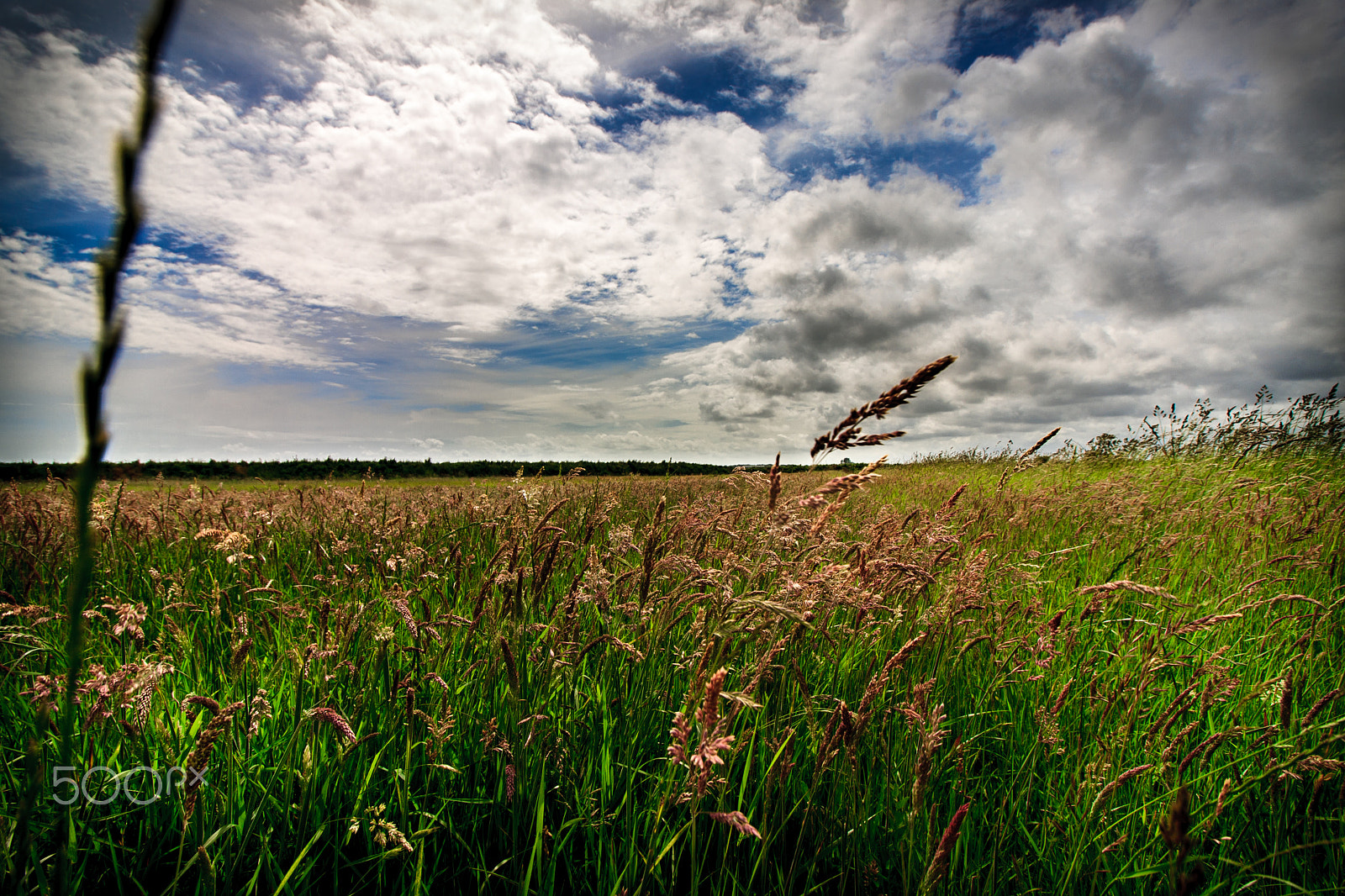 Canon EF-S 10-18mm F4.5–5.6 IS STM sample photo. Countryside field photography