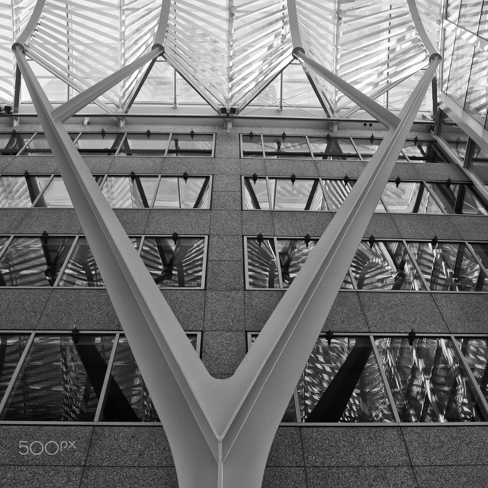AF Zoom-Nikkor 35-80mm f/4-5.6D sample photo. V photography