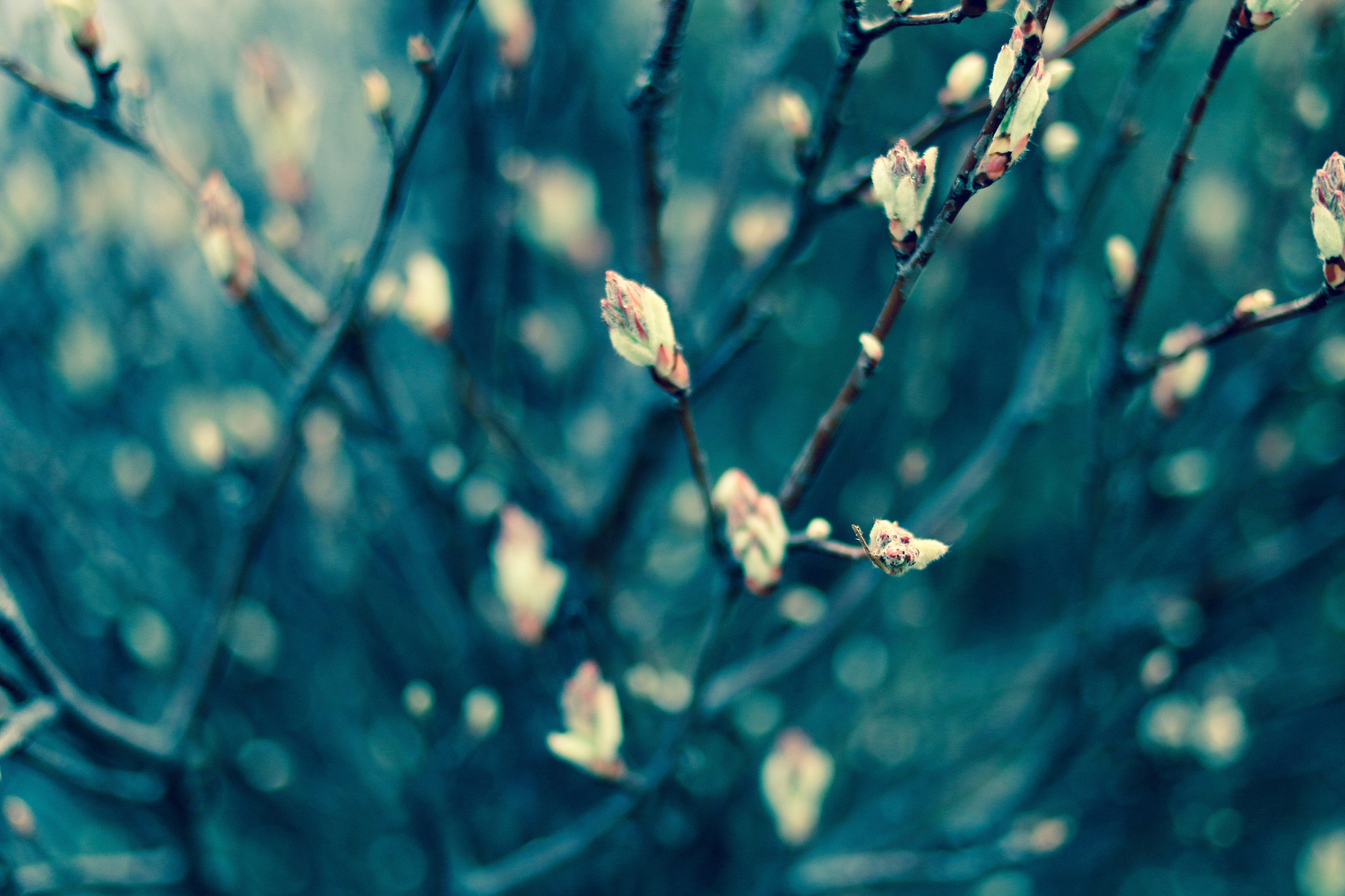 Canon EOS 70D + Canon EF 35mm F2 sample photo