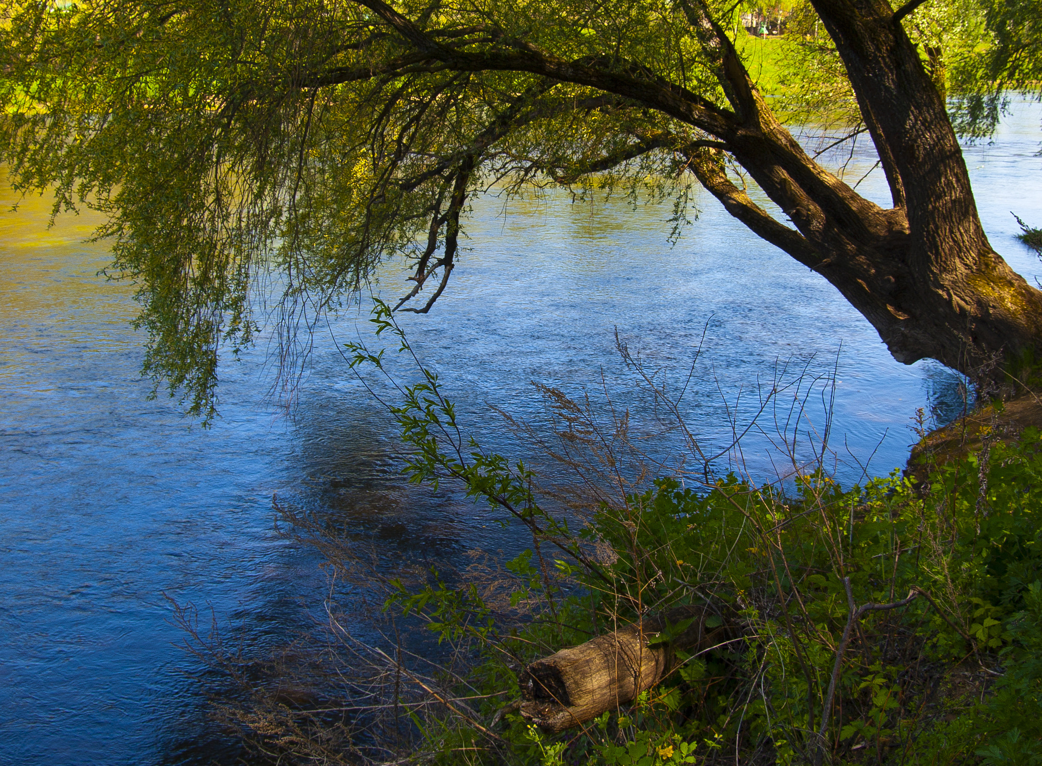 Olympus E-520 (EVOLT E-520) + SIGMA 18-50mm F2.8 DC sample photo. Simple countryside landscape photography