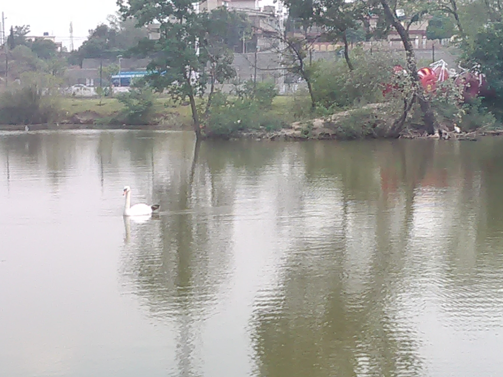 HUAWEI Y625-U32 sample photo