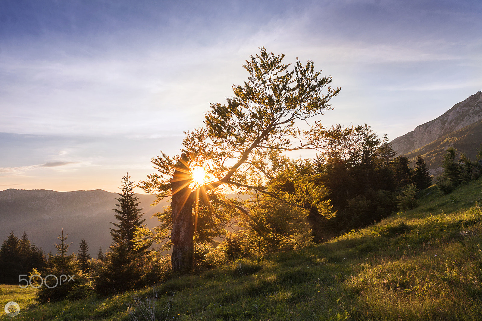 Canon EF 16-35mm F2.8L II USM sample photo. Golden morning photography