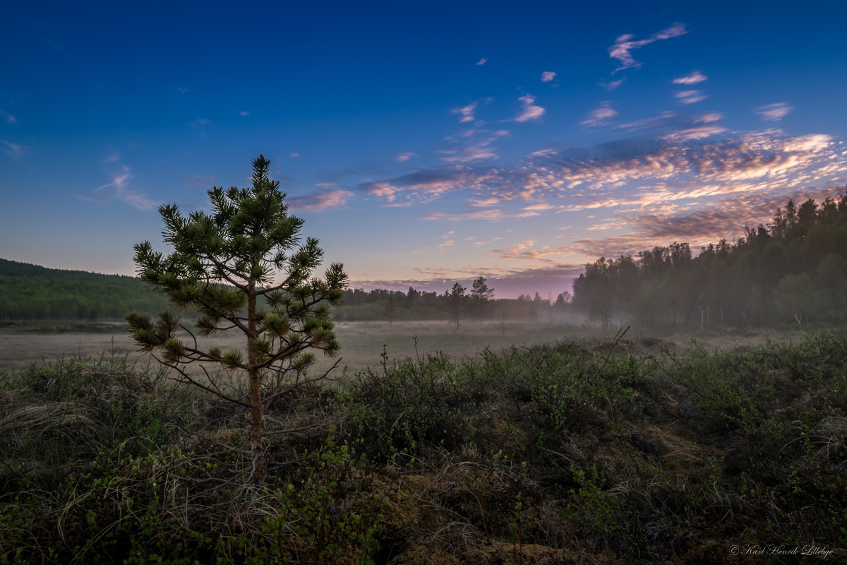 Samyang 14mm F2.8 ED AS IF UMC sample photo. Foggy night photography