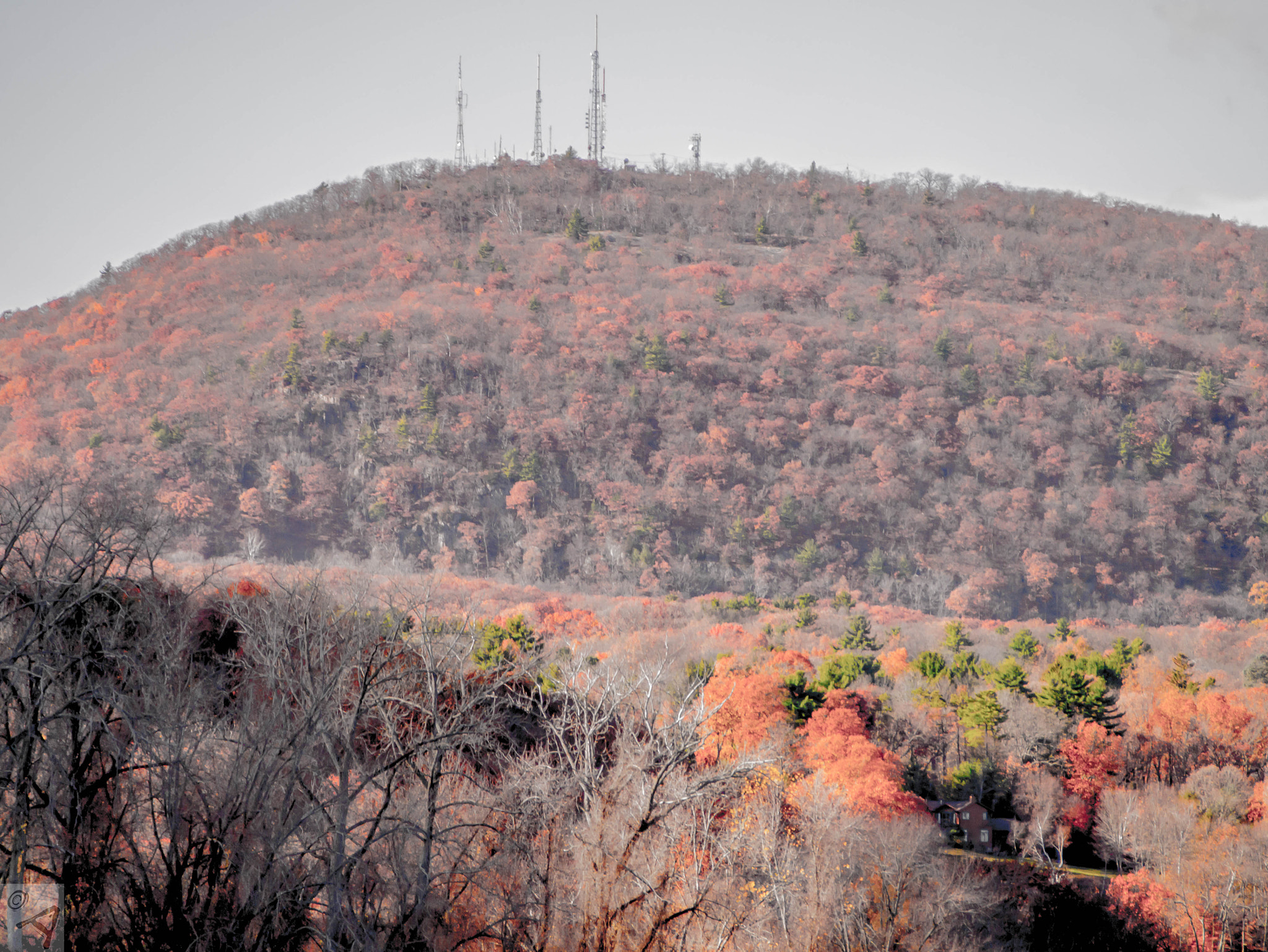 Panasonic Lumix DMC-GX1 sample photo. Colorful trees.jpg photography