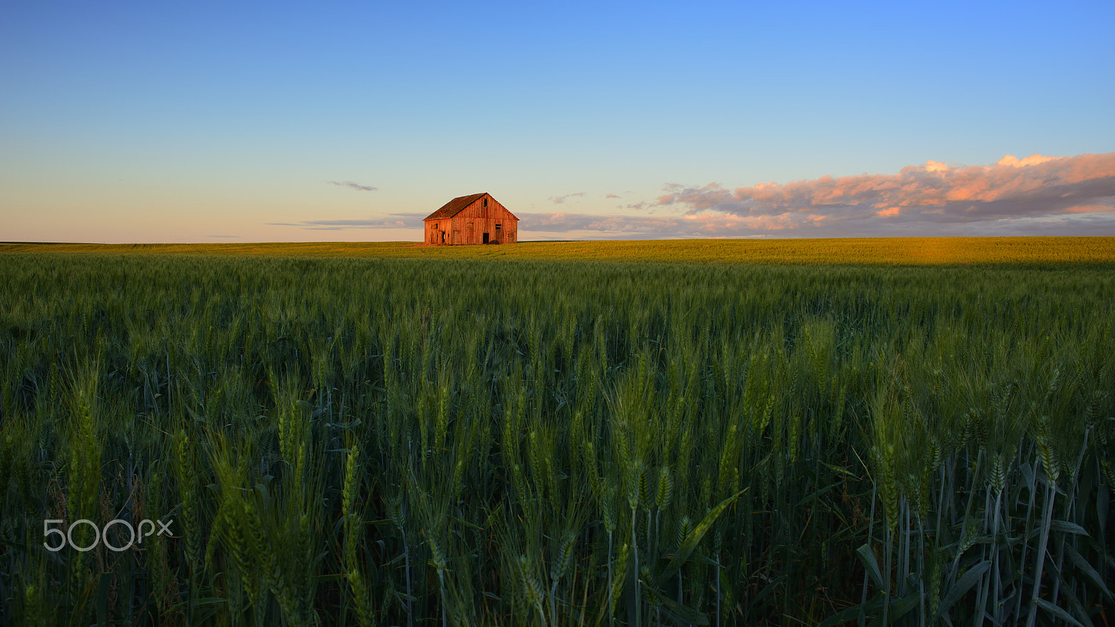 Nikon D800 + Nikon AF Nikkor 24mm F2.8D sample photo. Where i belong photography