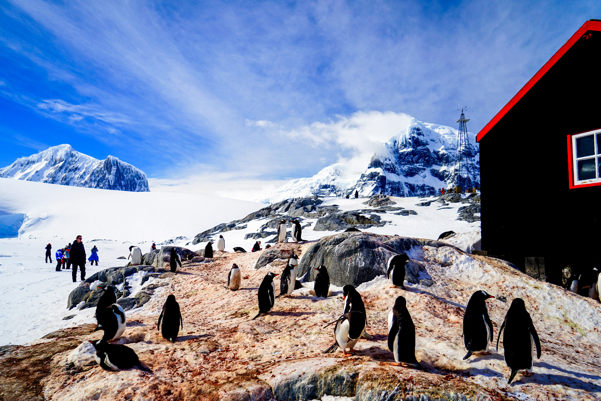 Sony a7R + Sony Vario Tessar T* FE 24-70mm F4 ZA OSS sample photo. The pinguins post office photography