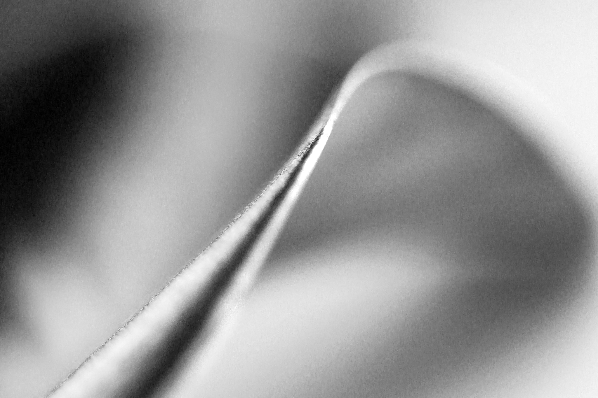 Canon EOS-1D Mark IV sample photo. Leaf curve photography