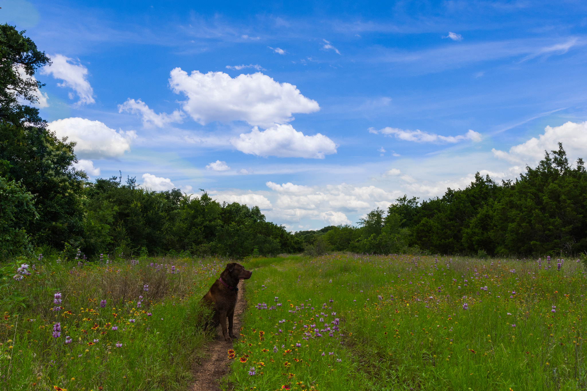 Nikon AF-S Nikkor 14-24mm F2.8G ED sample photo. Sam waiting on us photography