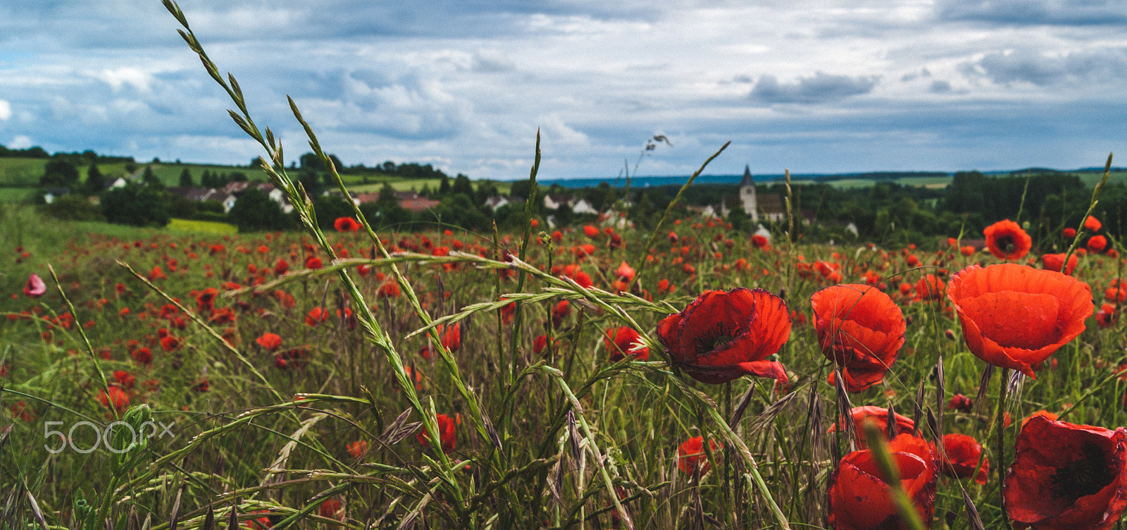 Sony Alpha DSLR-A290 + Sony DT 18-55mm F3.5-5.6 SAM sample photo. Traditional french countryside photography