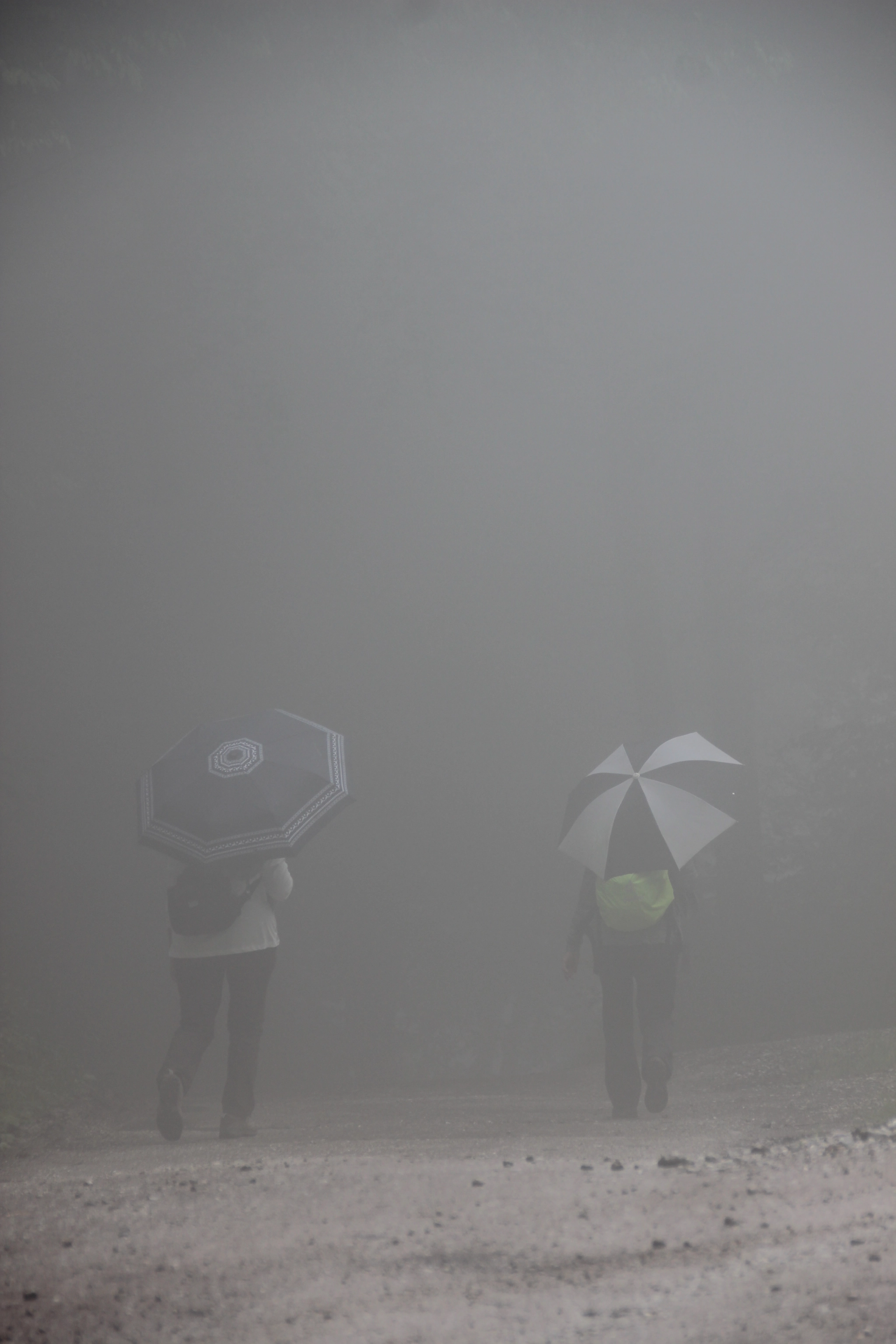 Canon EF 75-300mm F4.0-5.6 IS USM sample photo. Nebel ii photography