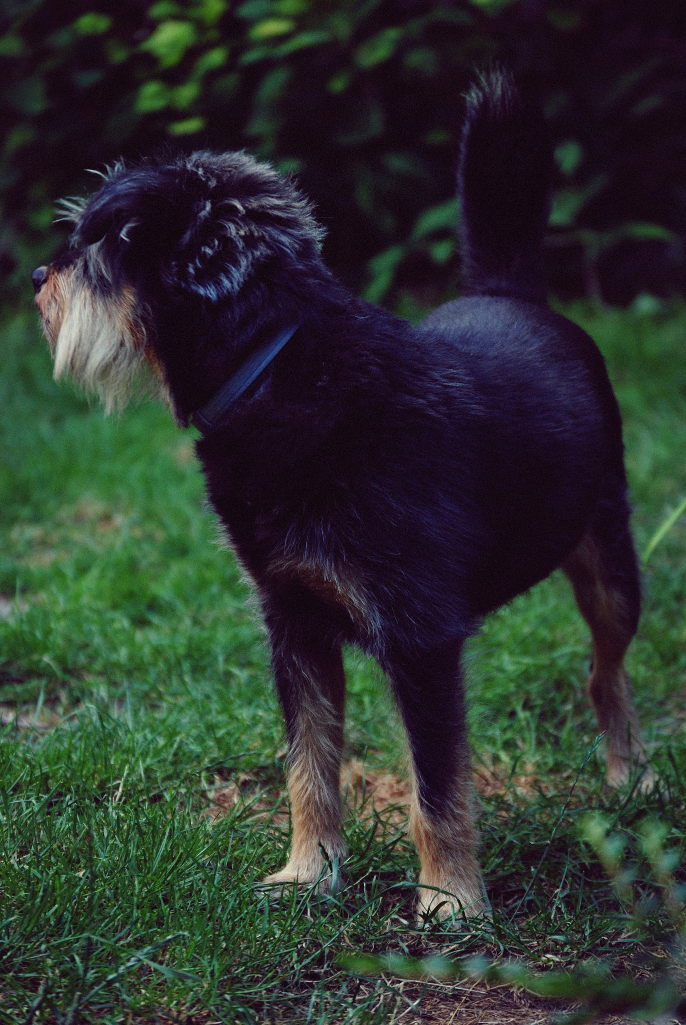 Nikon D80 sample photo. Rebarbora photography
