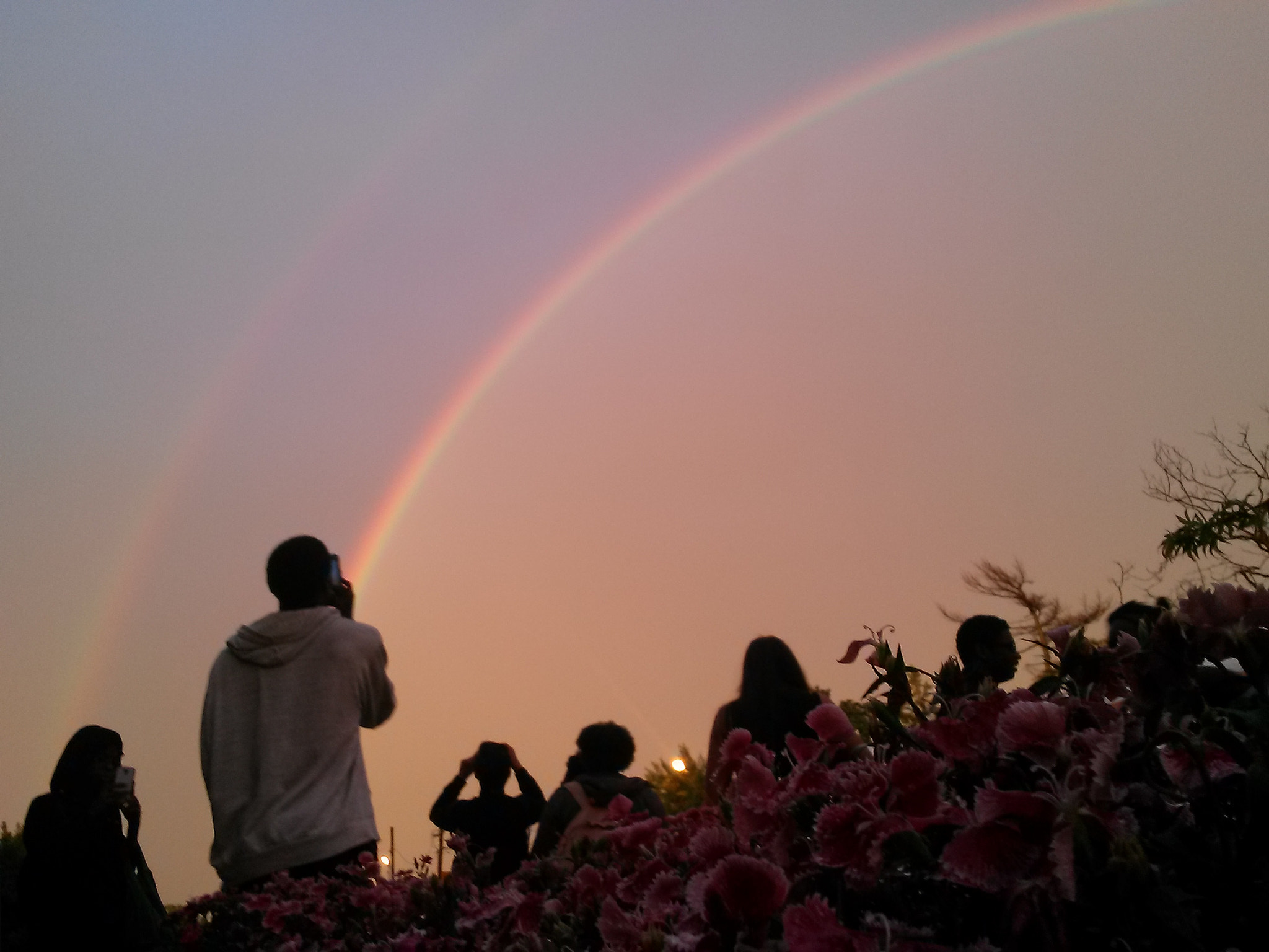 LG Optimus F6 sample photo. Double rainbow in new york photography