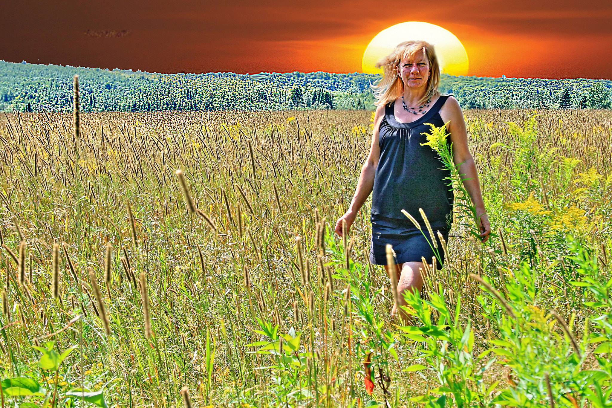 Canon EF-S 18-55mm F3.5-5.6 sample photo. Sunlight in the field photography