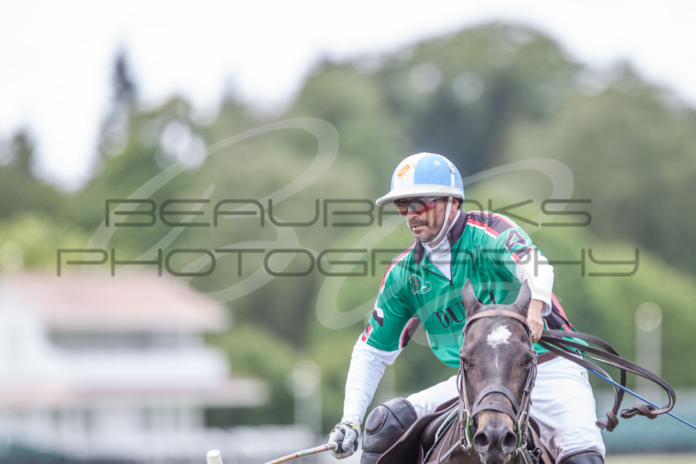 Canon EF 300mm F2.8L IS USM sample photo. Sport of kings photography