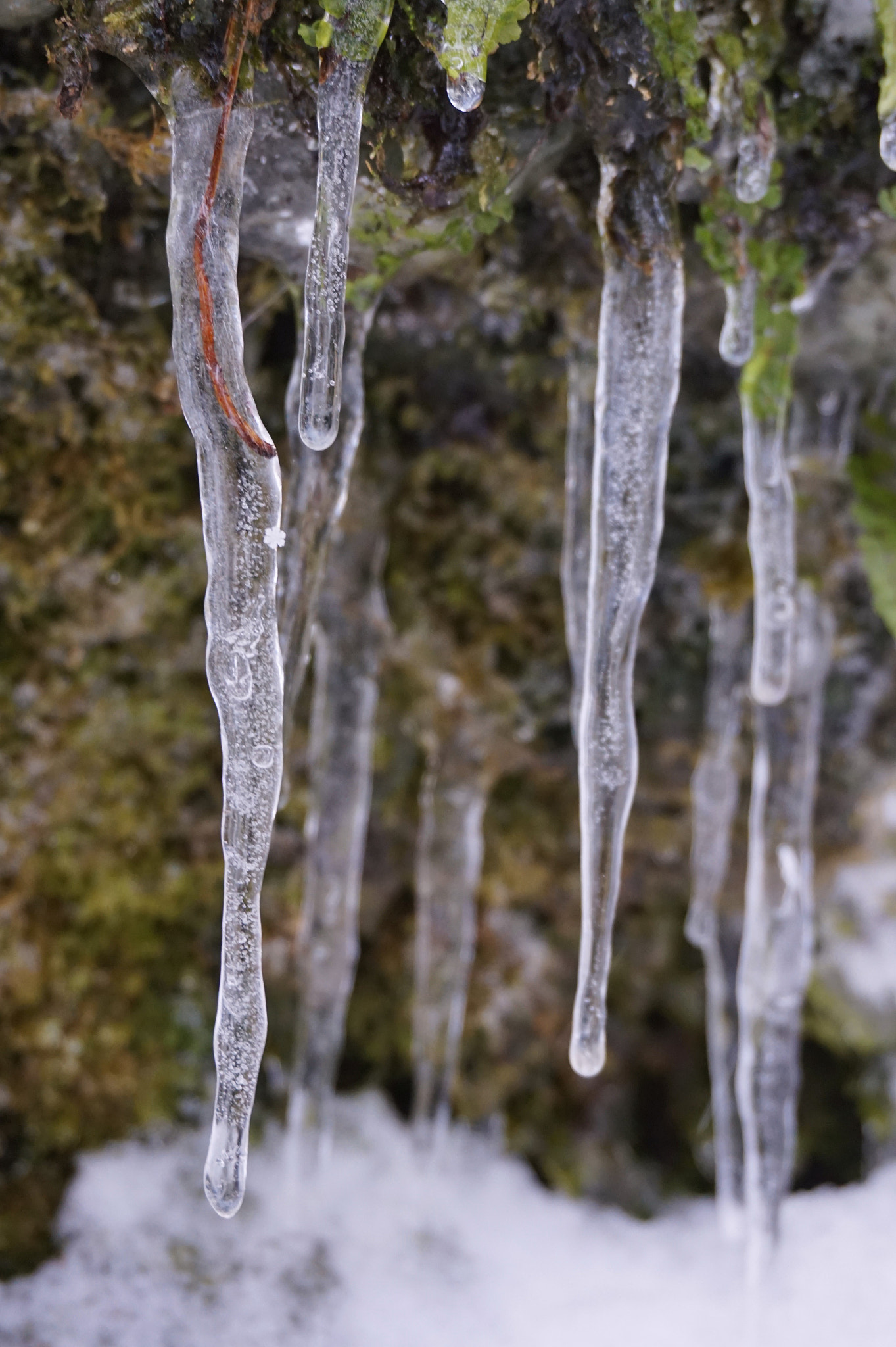 Sony E 16-50mm F3.5-5.6 PZ OSS sample photo. Ice photography