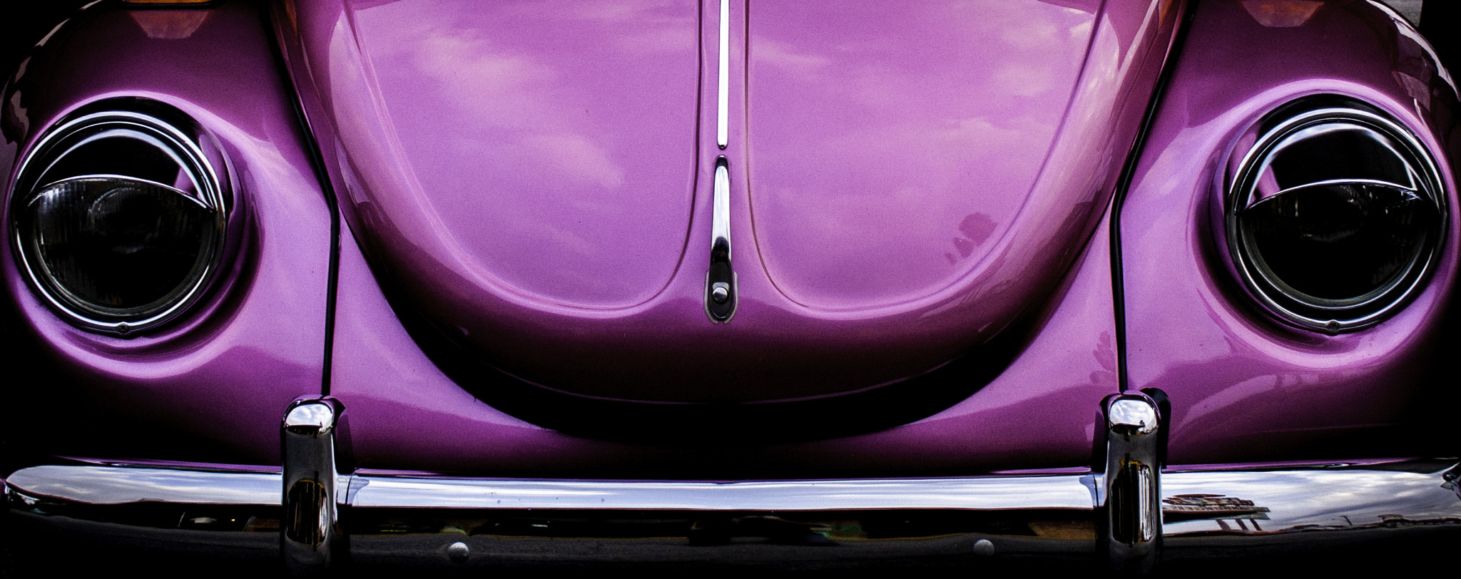 Canon EF-S 18-55mm F3.5-5.6 sample photo. Purple bug photography