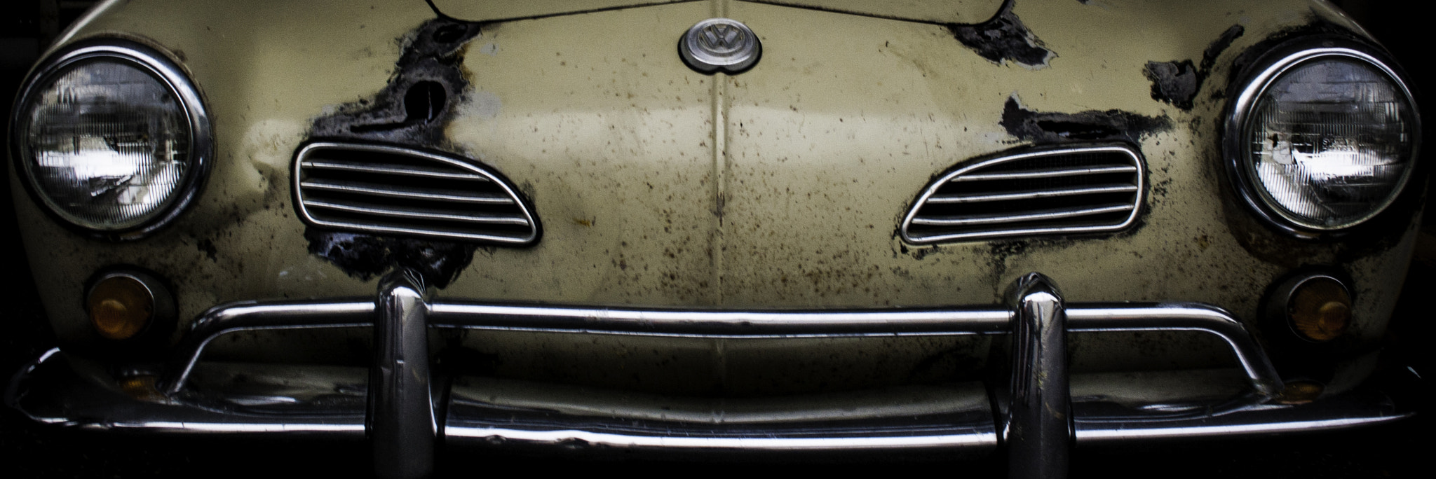 Canon EF-S 18-55mm F3.5-5.6 sample photo. Rusty bug photography