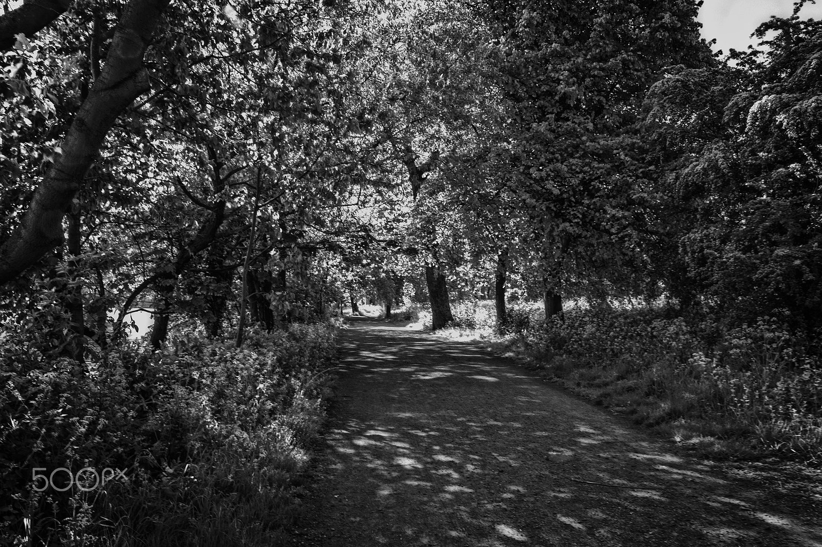 Canon EF-S 17-85mm F4-5.6 IS USM sample photo. Thames path photography