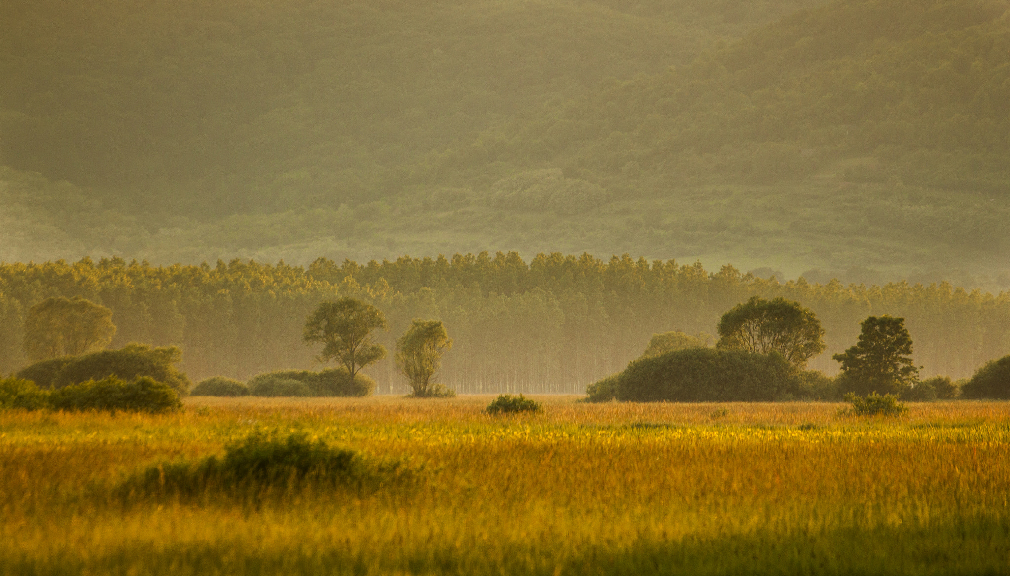 Sigma 70-300mm F4-5.6 APO DG Macro sample photo. Sunset in the valley photography
