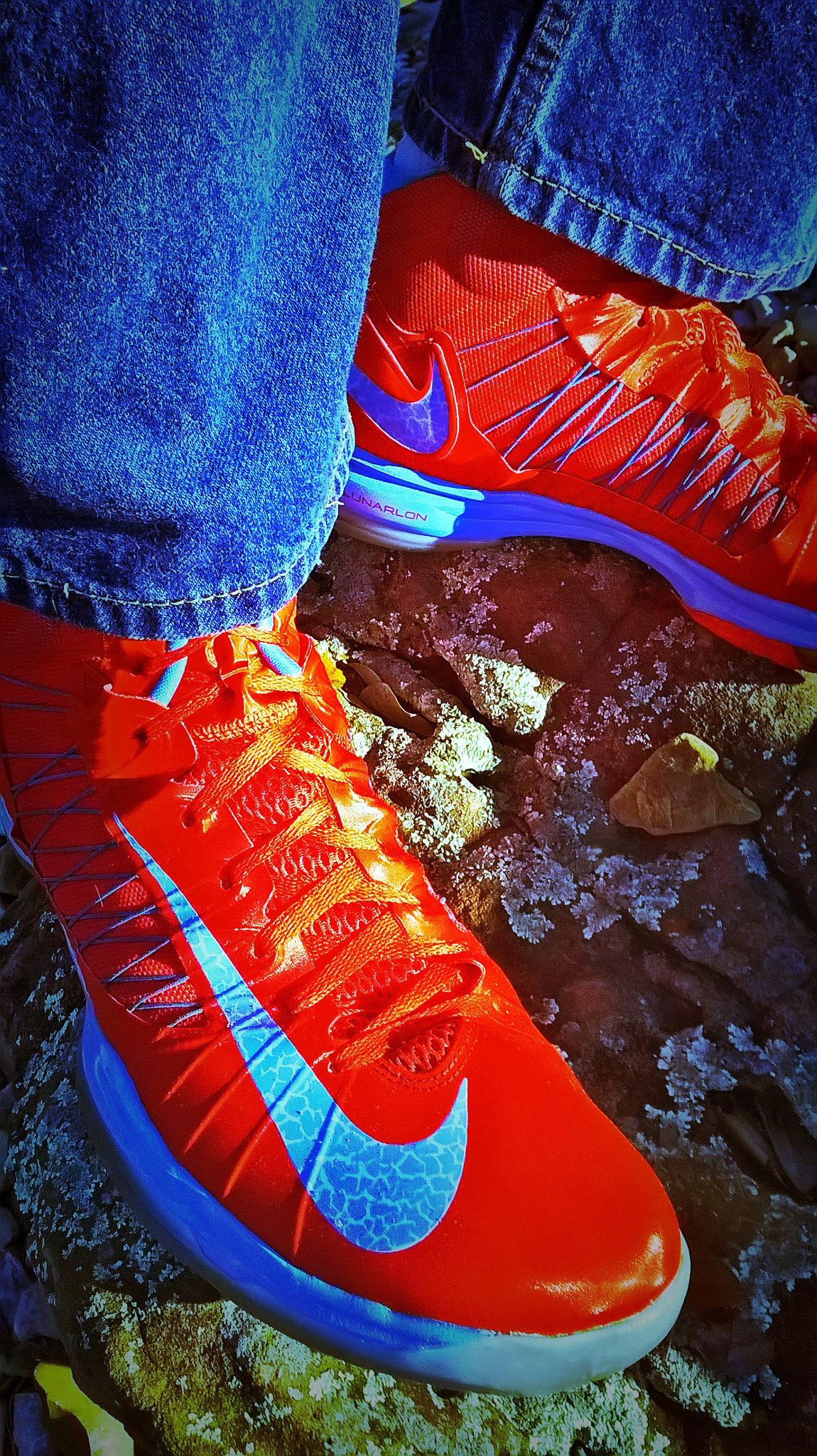 Nokia Lumia 635 sample photo. Nike hyperdunk 2012, size 16. photography