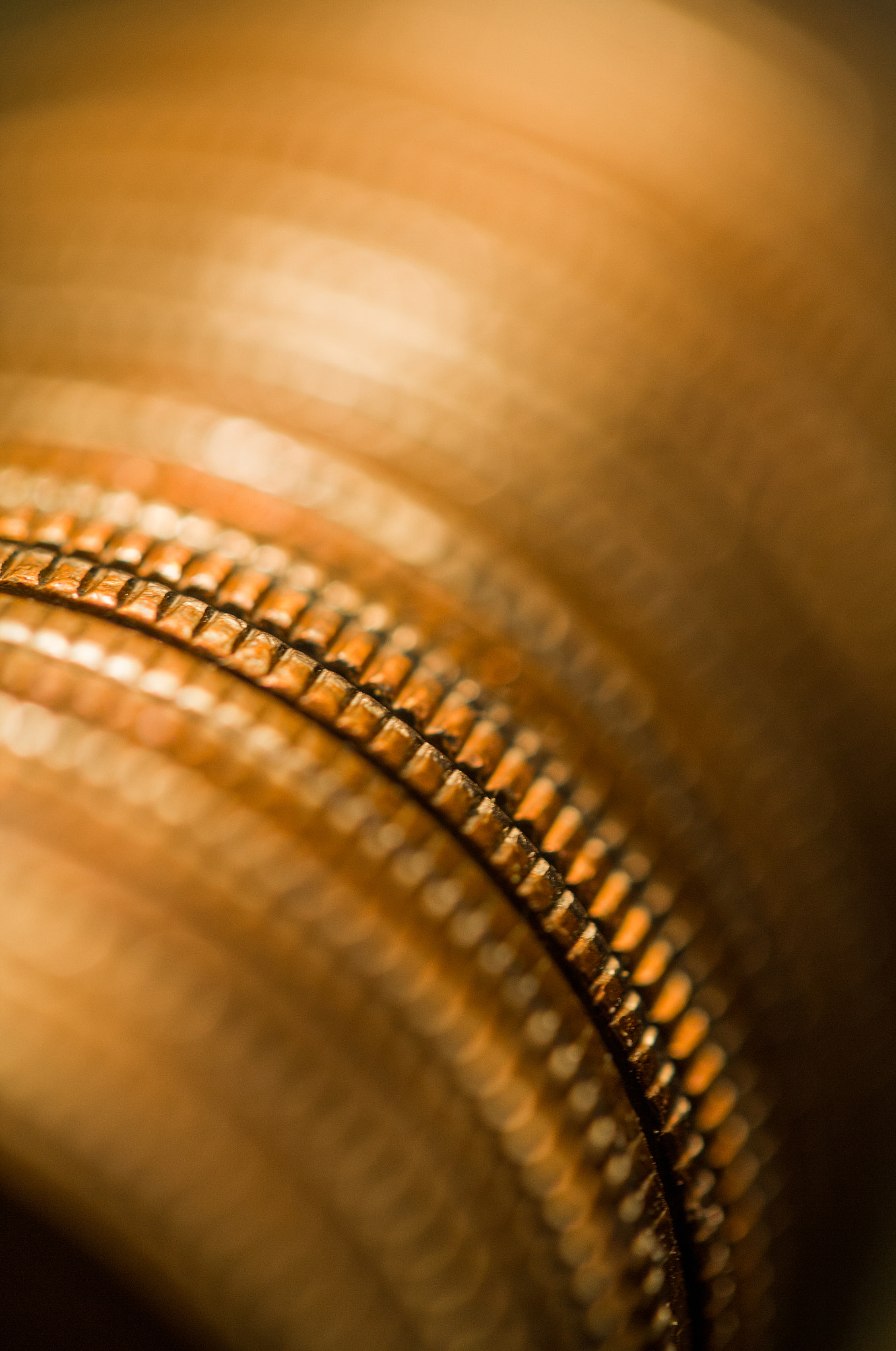 Canon EF-S 60mm F2.8 Macro USM sample photo. Stacked for counting photography