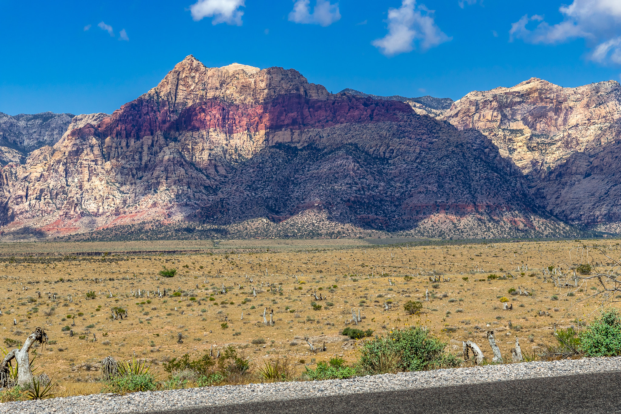 Canon EOS 7D Mark II + Canon EF 50mm F1.8 II sample photo. Red rocks photography