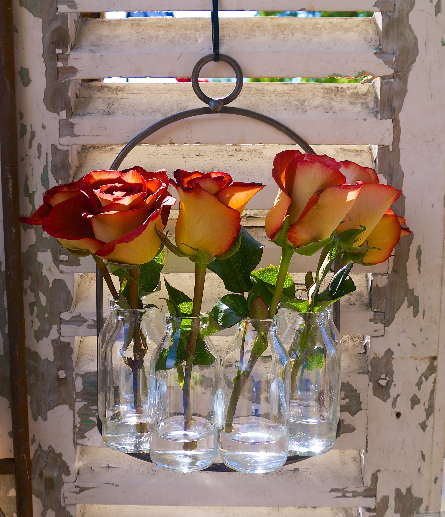 Panasonic Lumix DMC-GX1 sample photo. What's more romantic than wun woes? photography