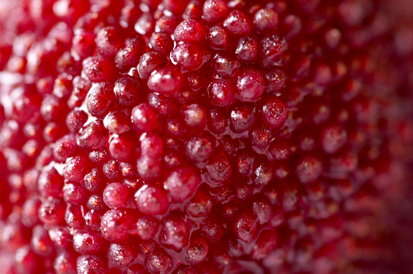 Olympus PEN E-P5 sample photo. Waxberry photography