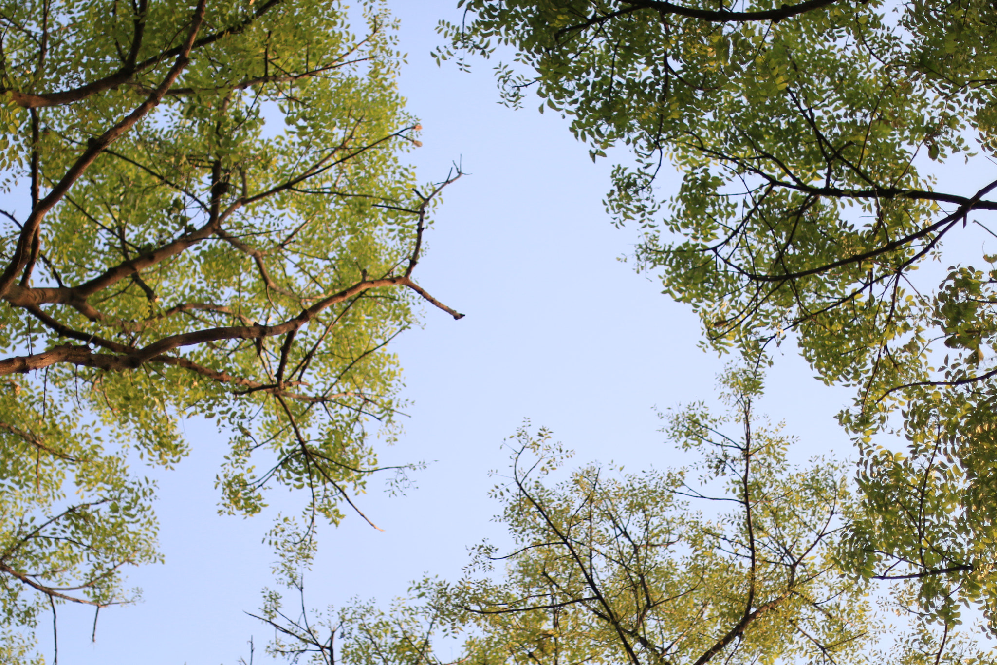Canon EOS 70D + Canon EF 50mm F1.4 USM sample photo. #landscape photography