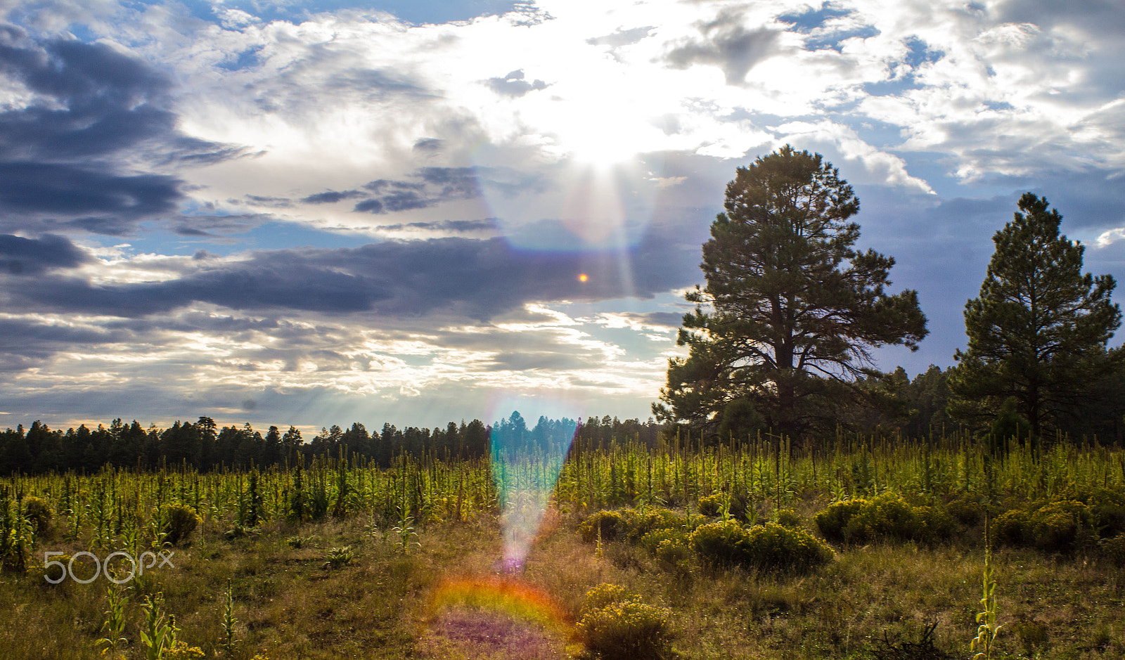 Canon EF 28-90mm f/4-5.6 sample photo. Landscape photography