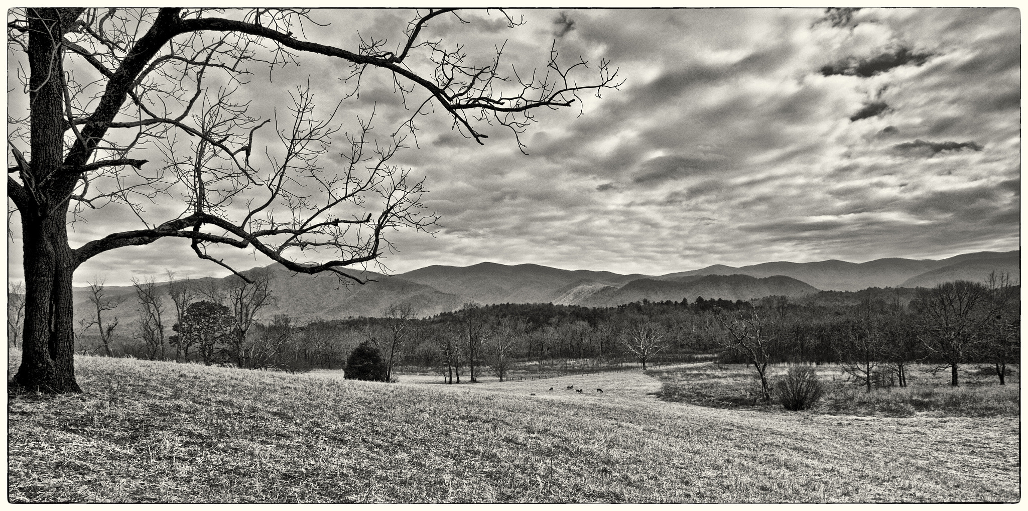 Canon EF 20-35mm F3.5-4.5 USM sample photo. Cold valley.jpg photography