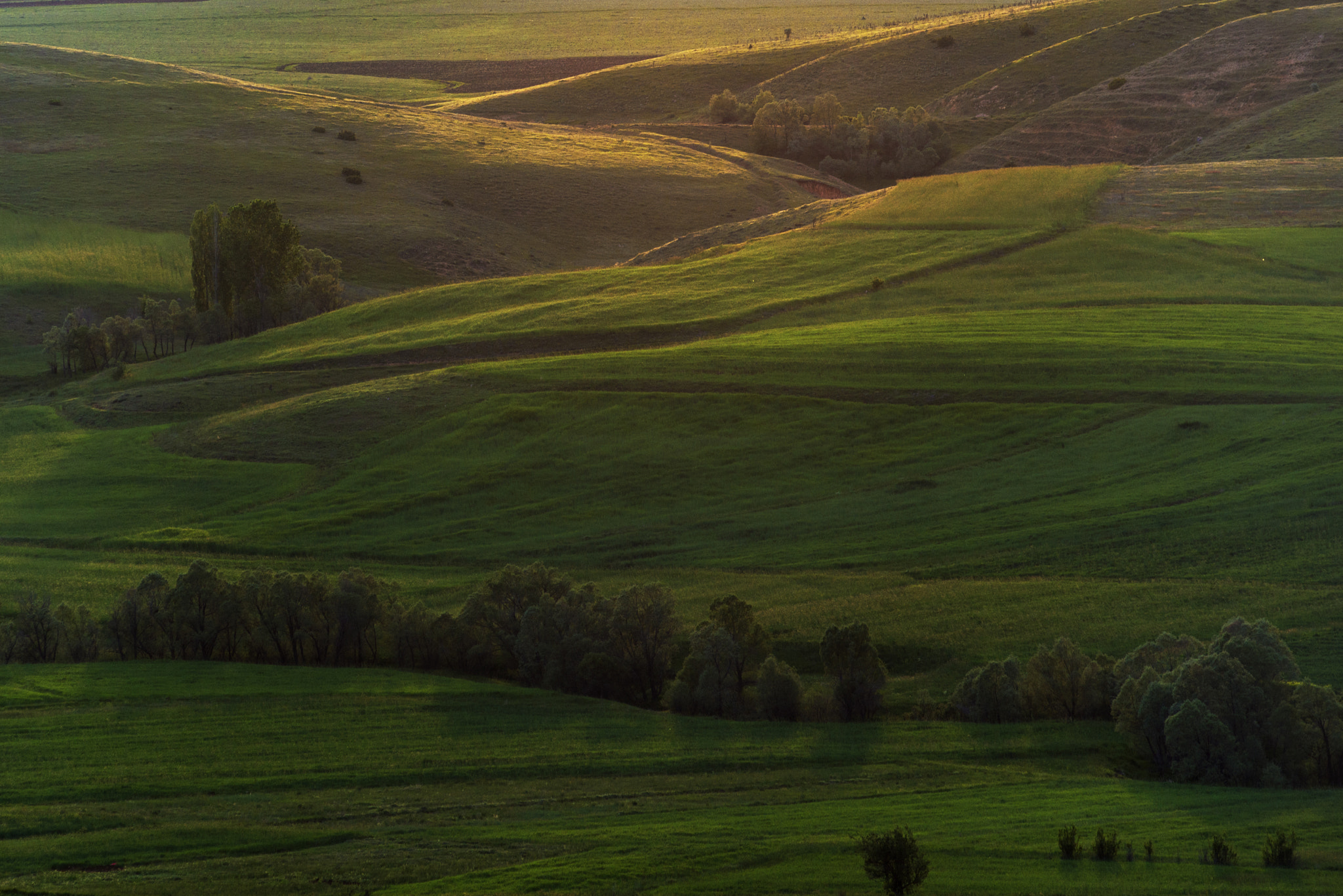 Nikon AF-Nikkor 80-200mm F2.8D ED sample photo. Landscape photography