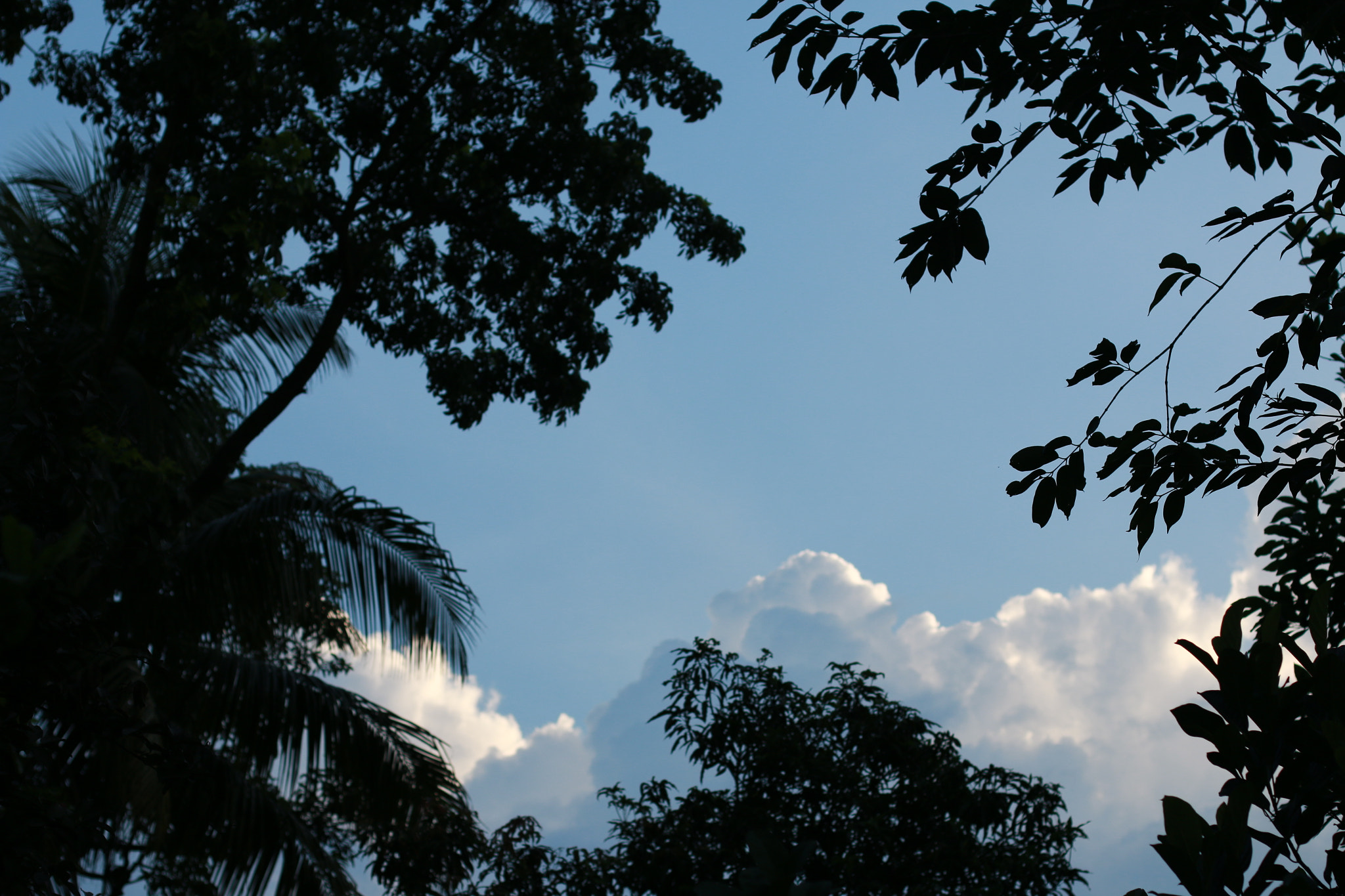 Canon EOS 70D + Canon EF 50mm F1.4 USM sample photo. #landscape photography