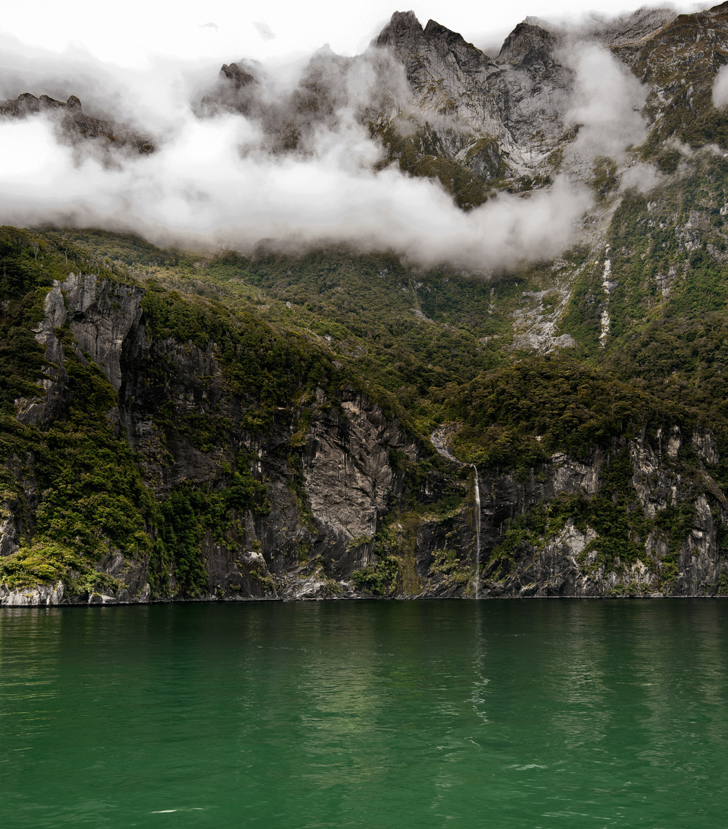 Canon EOS-1Ds Mark II sample photo. Fjordland milford photography